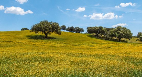 Alentejo and the Algarve Cycling Tour