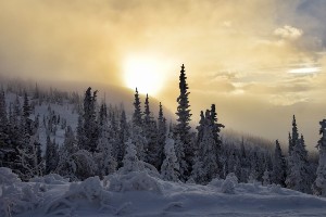 Winter in Yukon’s Kluane National Park