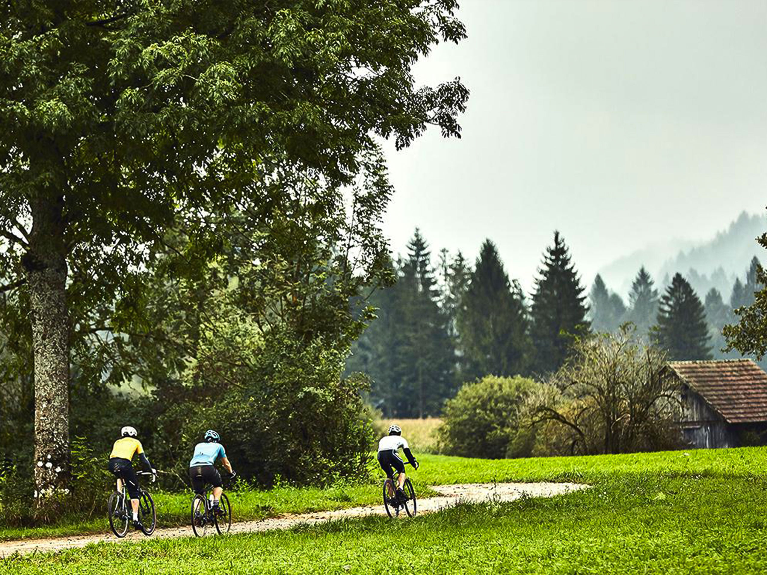 Cyclists on the Road