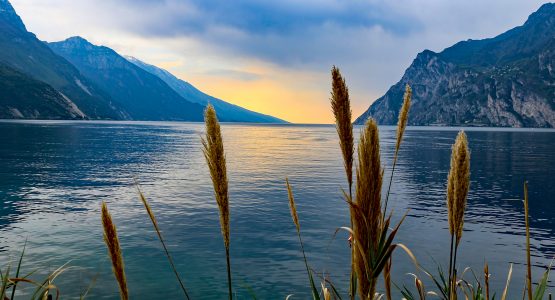 South Tyrol to Lake Garda Bike Tour