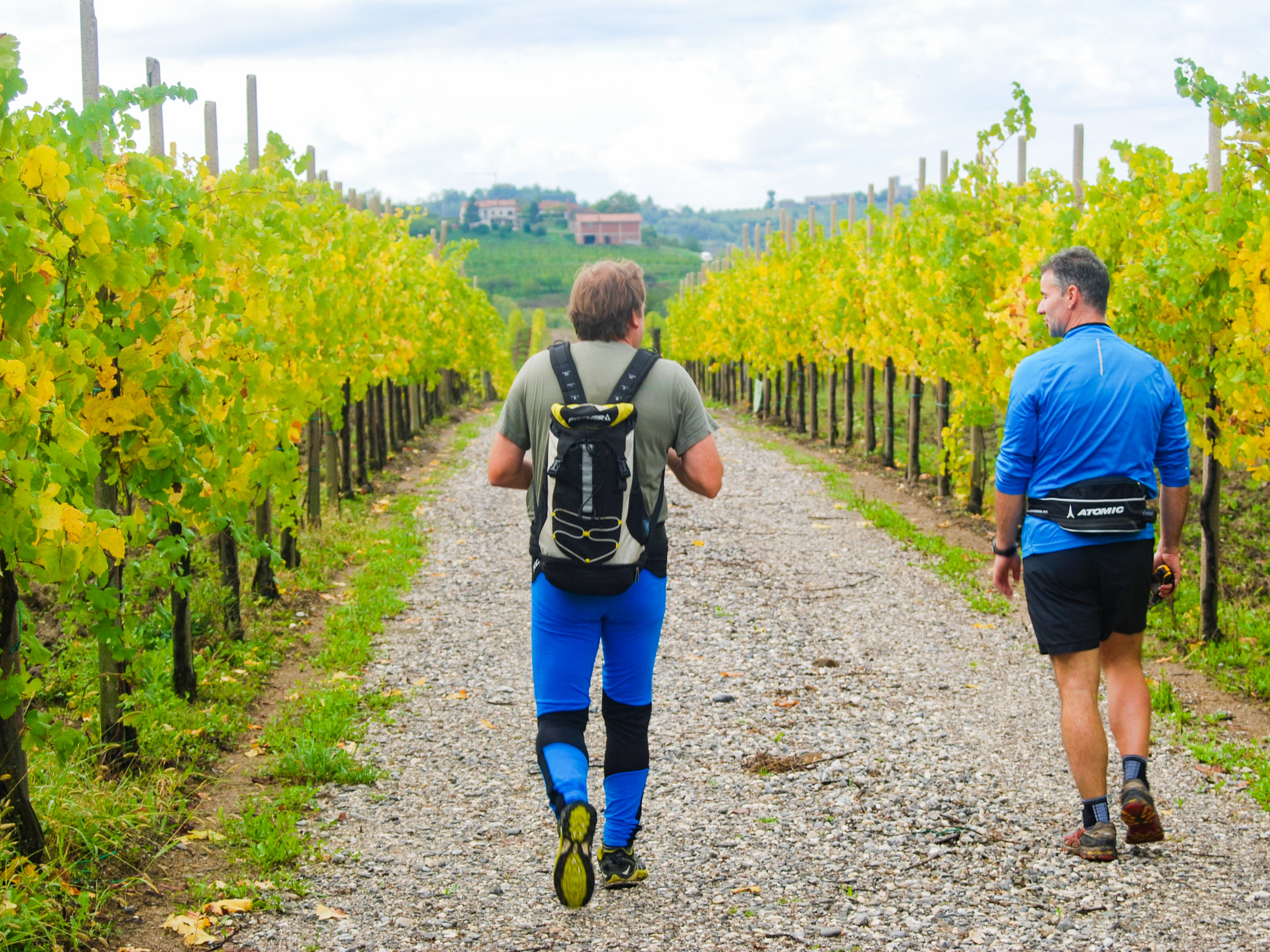 Italy vineyard hiking