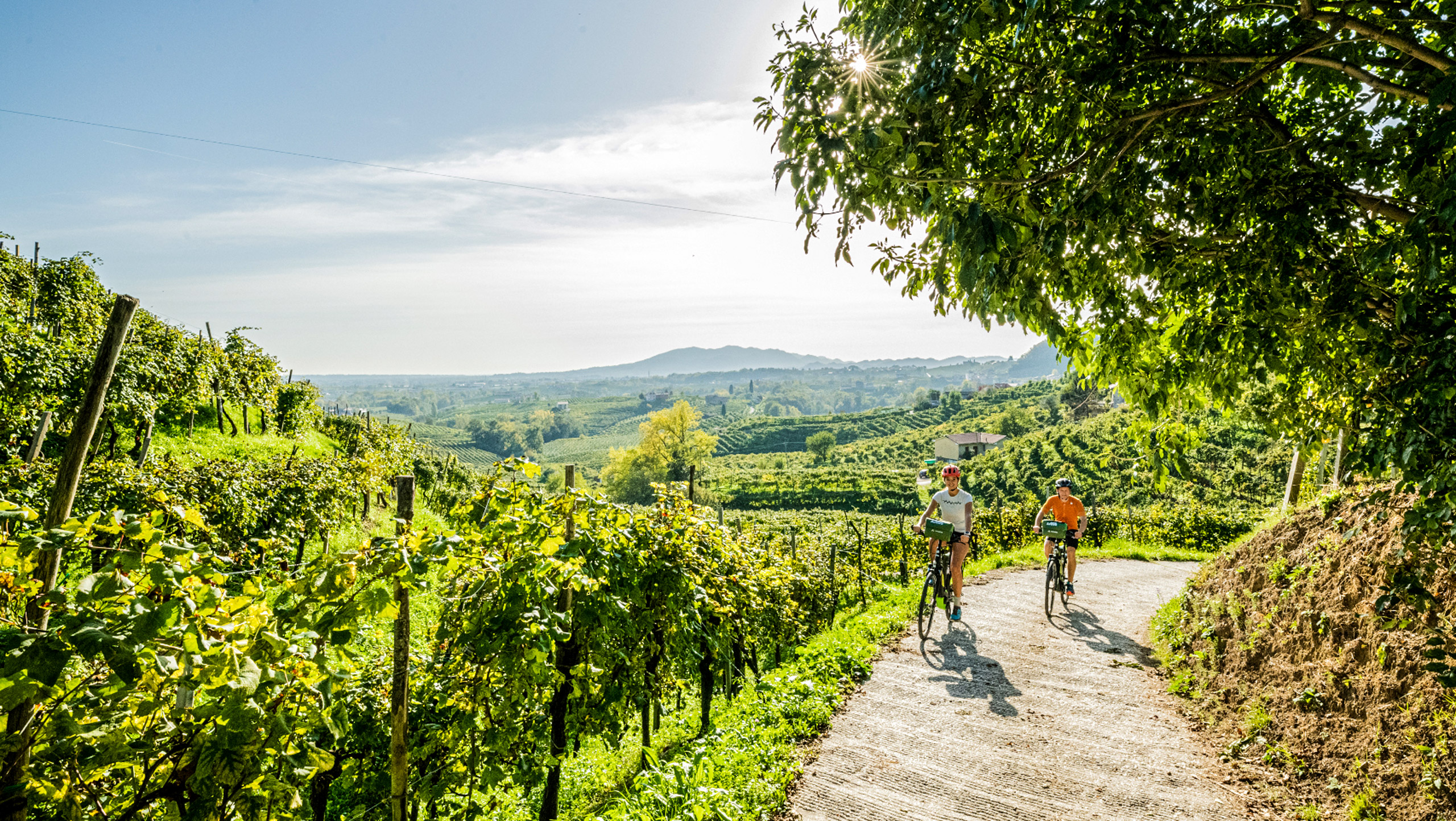 SelfGuided Cycling the Prosecco Route Tour 10Adventures