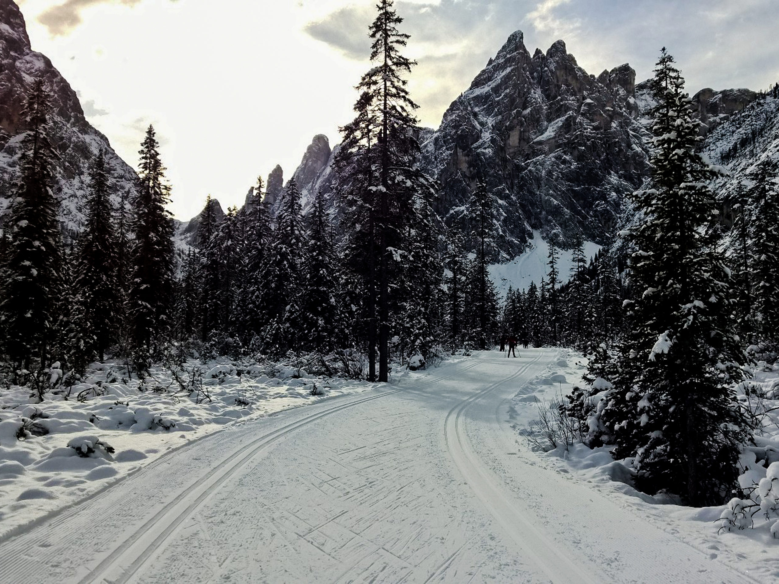 Skiing in the forest trail