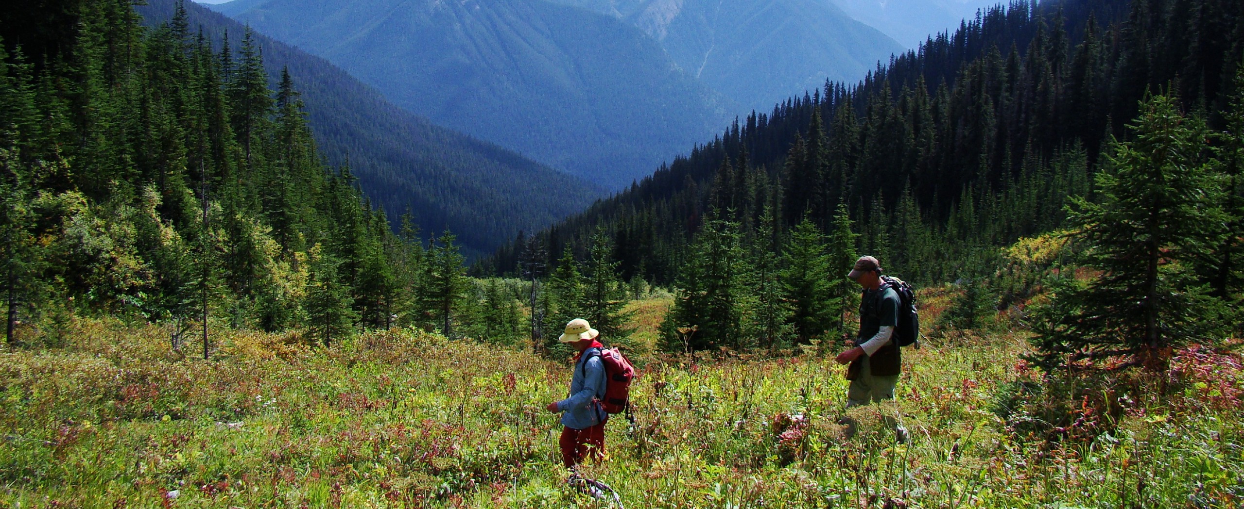 Columbia Valley Hiking Tour