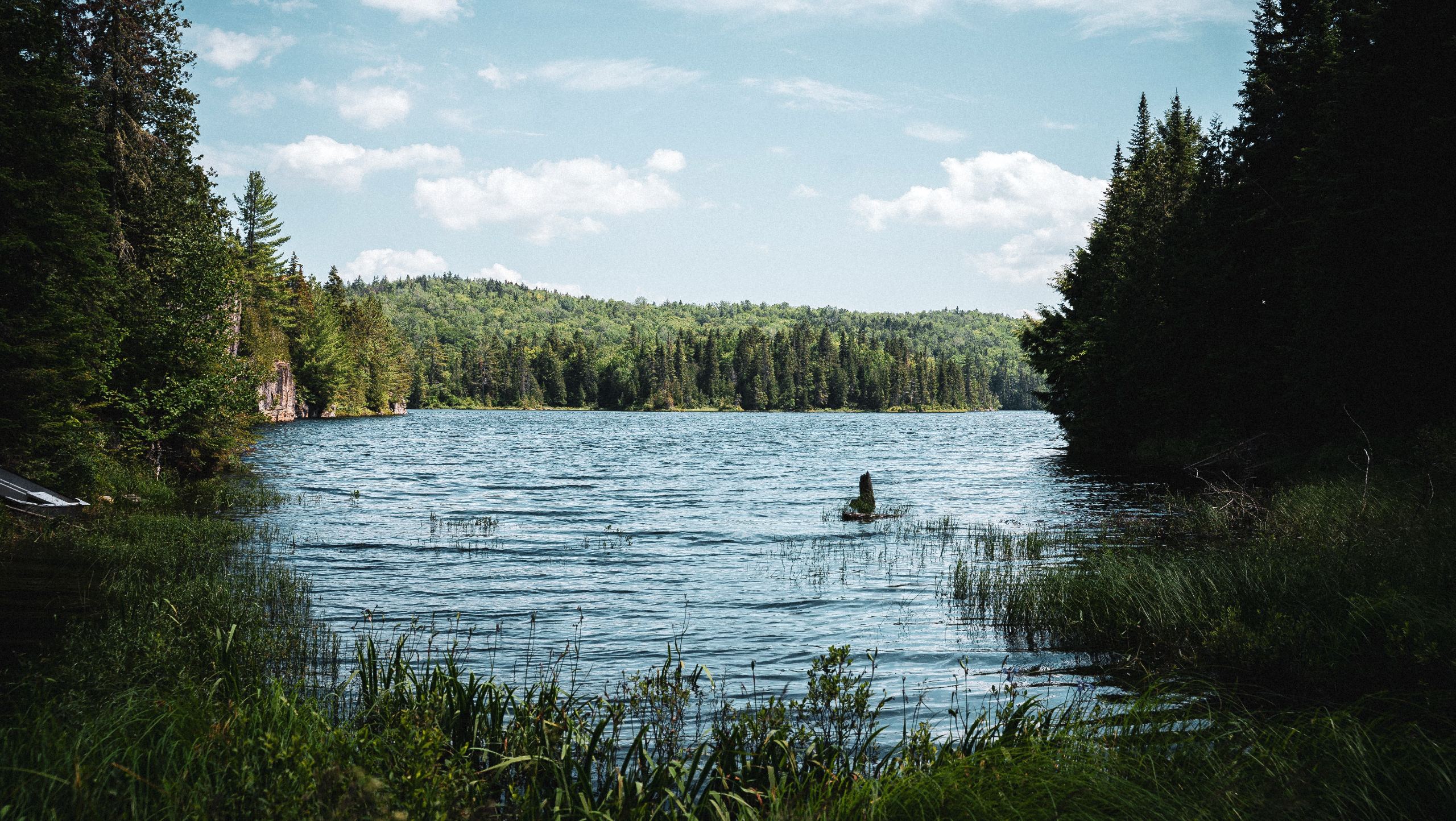 Bazin River Paddling Adventure