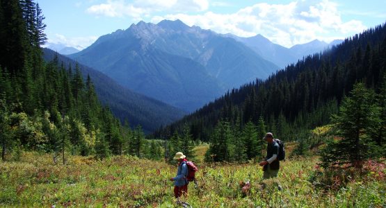 Columbia Valley Hiking Tour