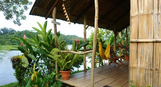 10-Day Nicaragua Birdwatching Expedition