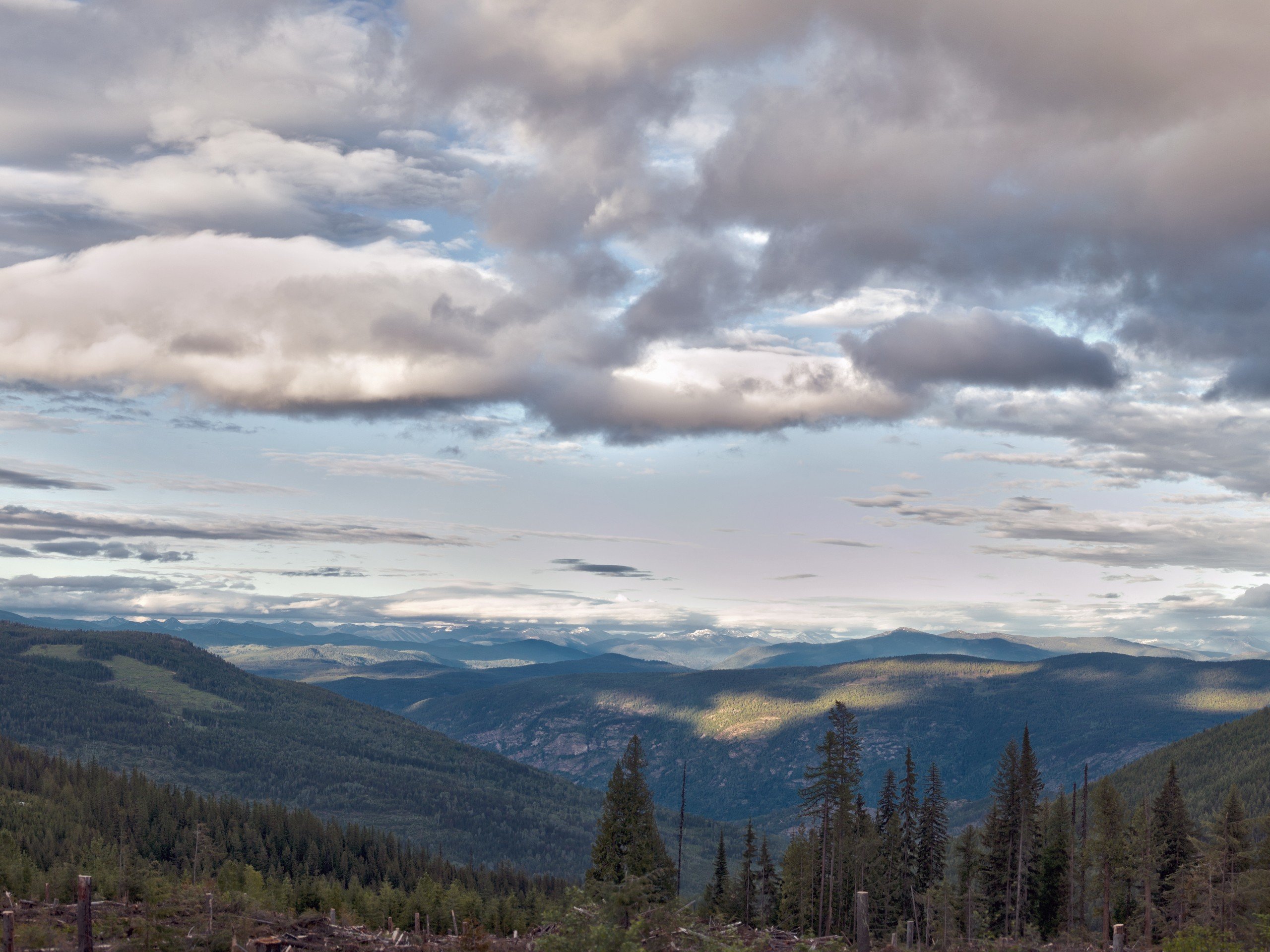 Looking over Kootenay forests