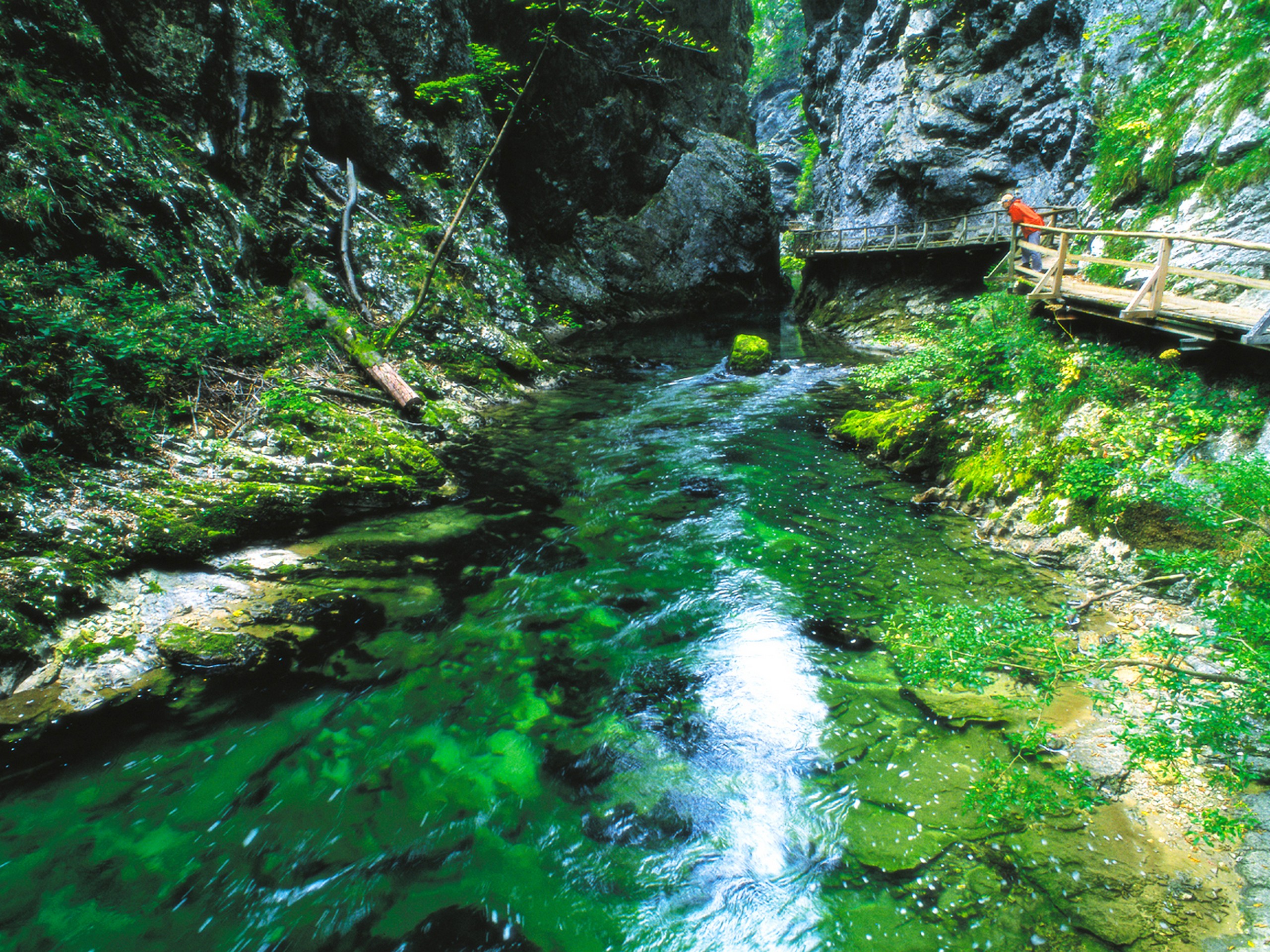 Turquoise water in the canyon