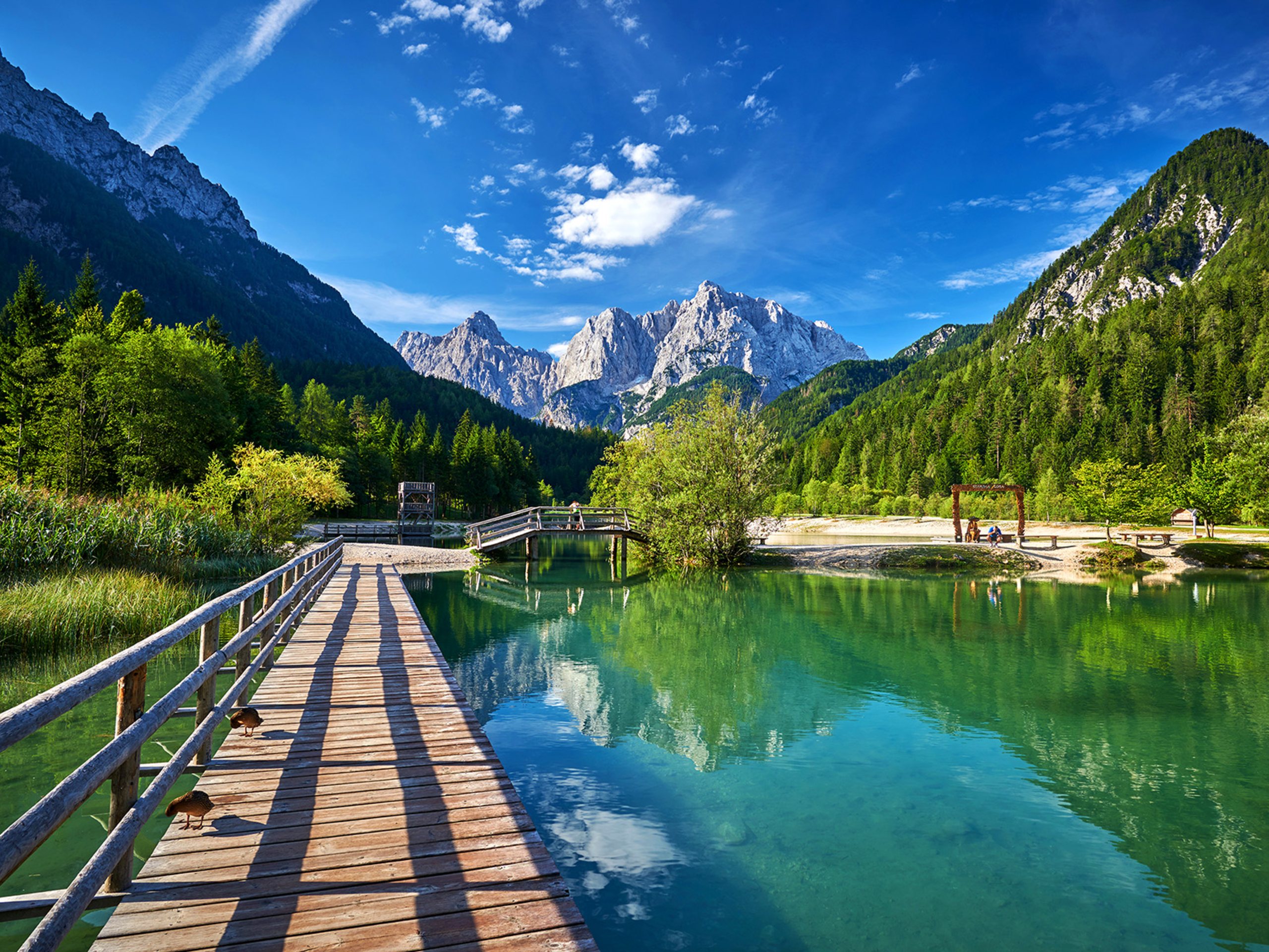 Stunning mountain views above the turquoise lake in Slovenia