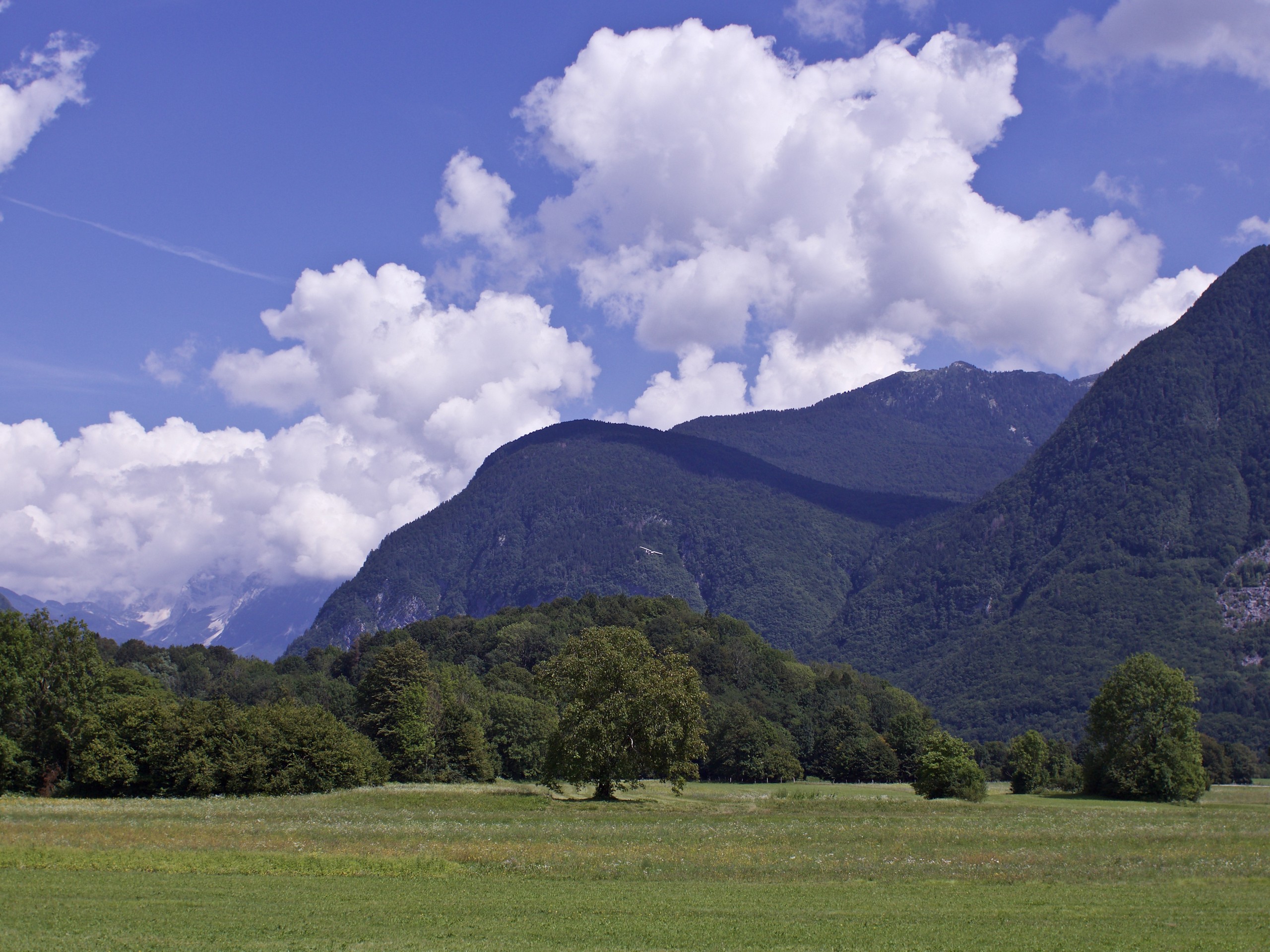 Green meadows surrounded by mountains in Slovenia