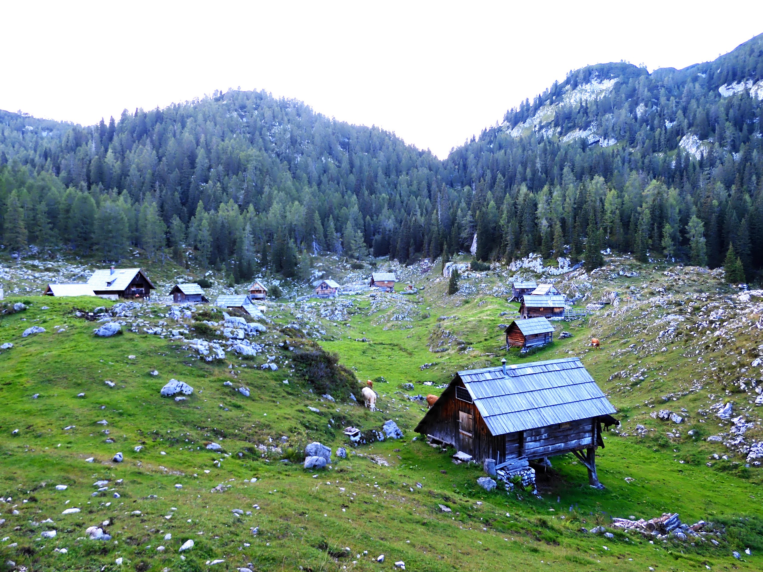 Pastures in the Julian Alps