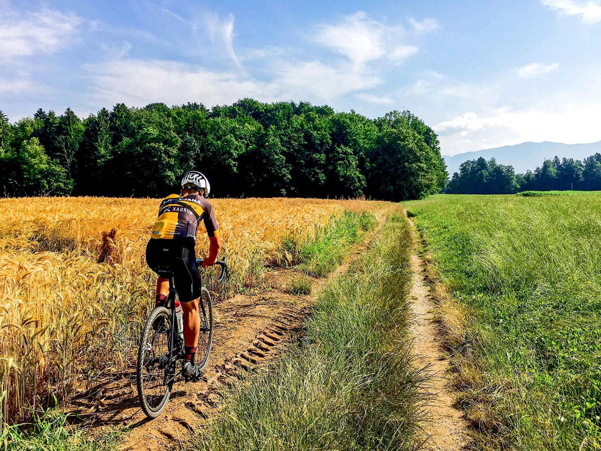 Cyclist riding through the meadows in Slovenia