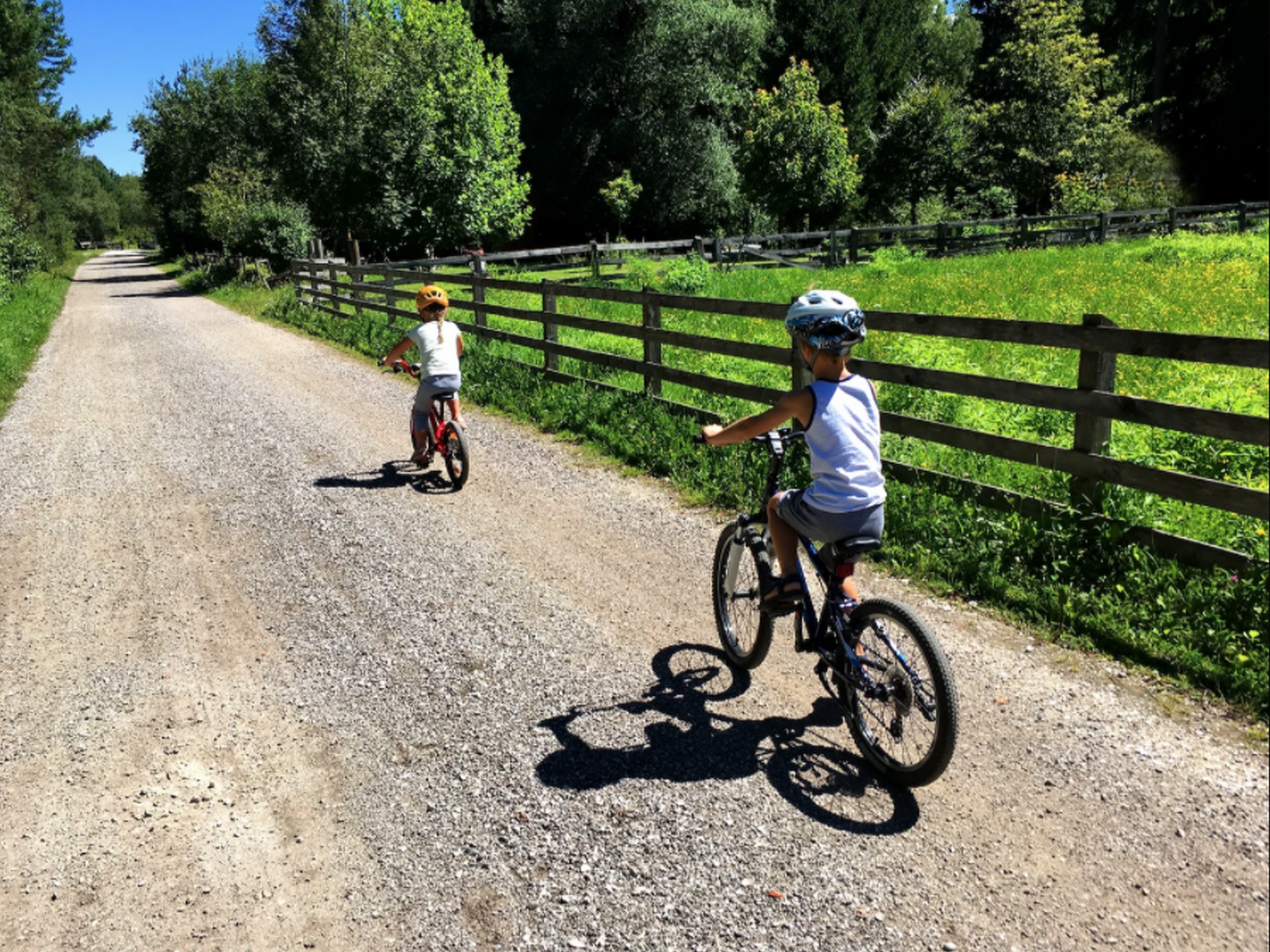 Family cycling on one of the biking paths in Slovenia