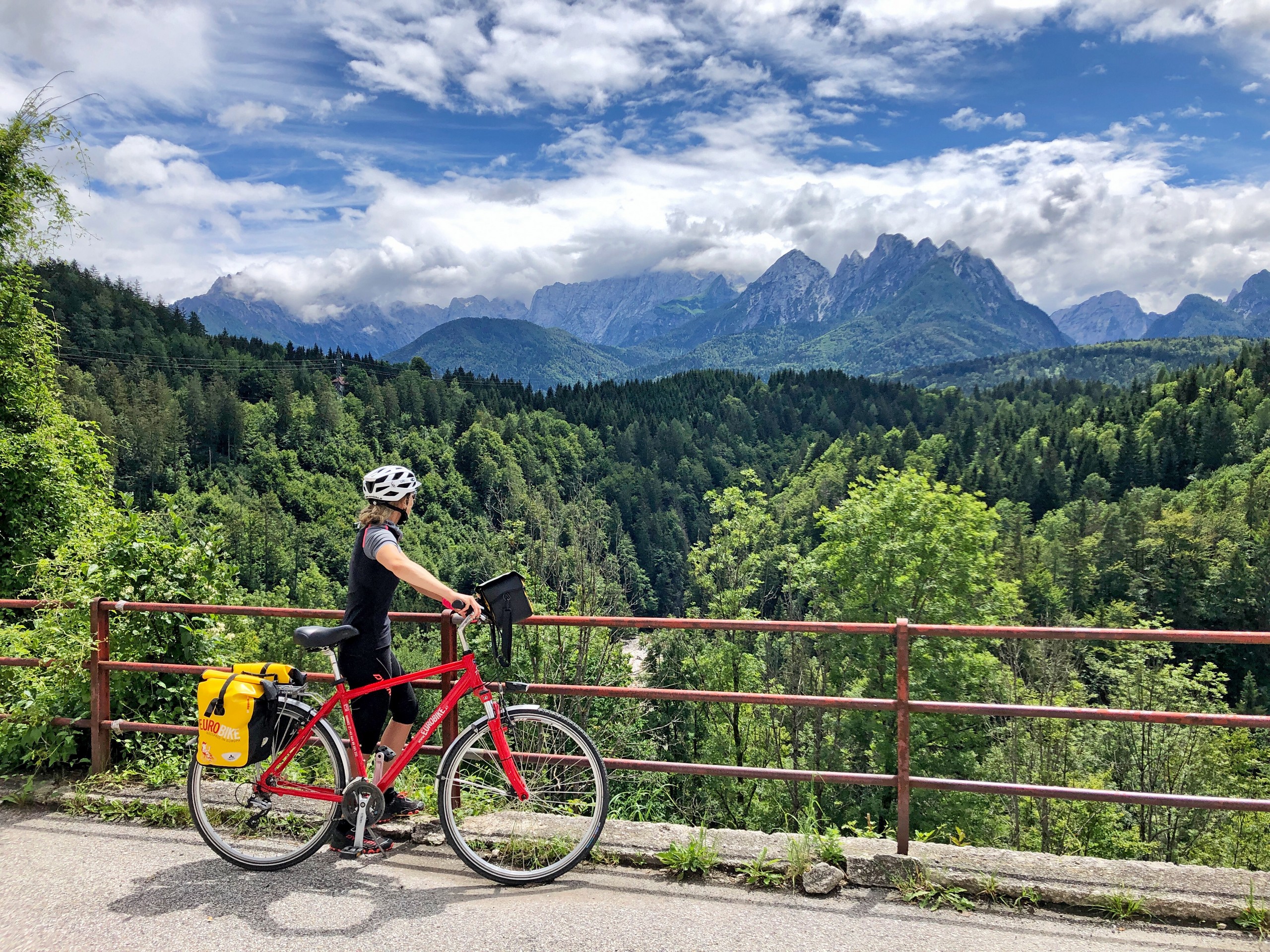 Biker looking at the forests in the distance