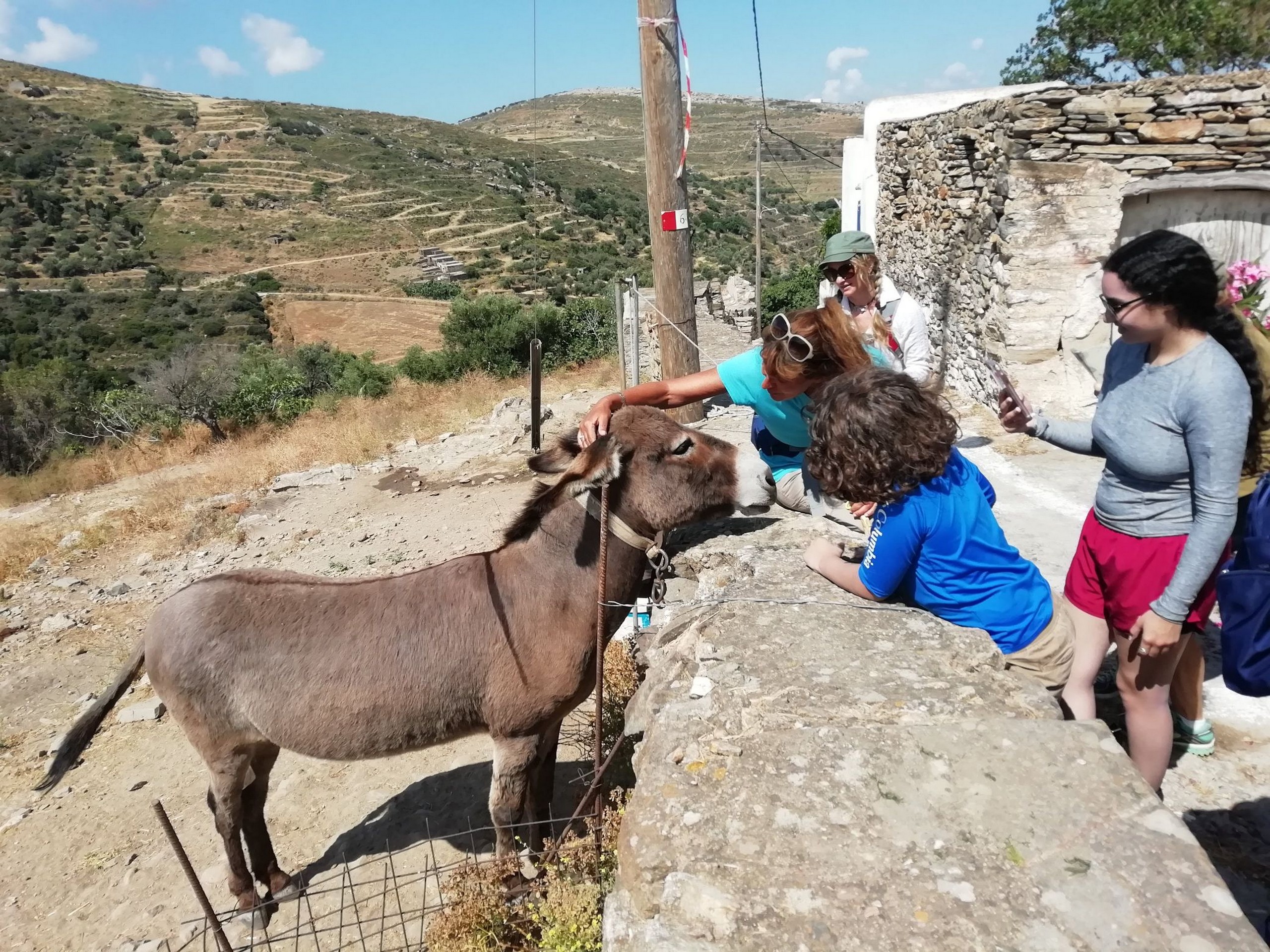 Petting a donkey while on a walking tour in Greece