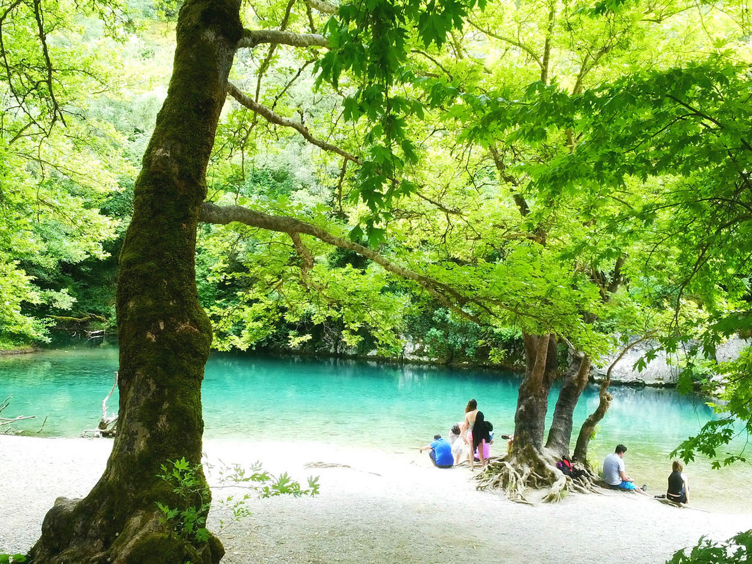 Turquoise creek in Greece