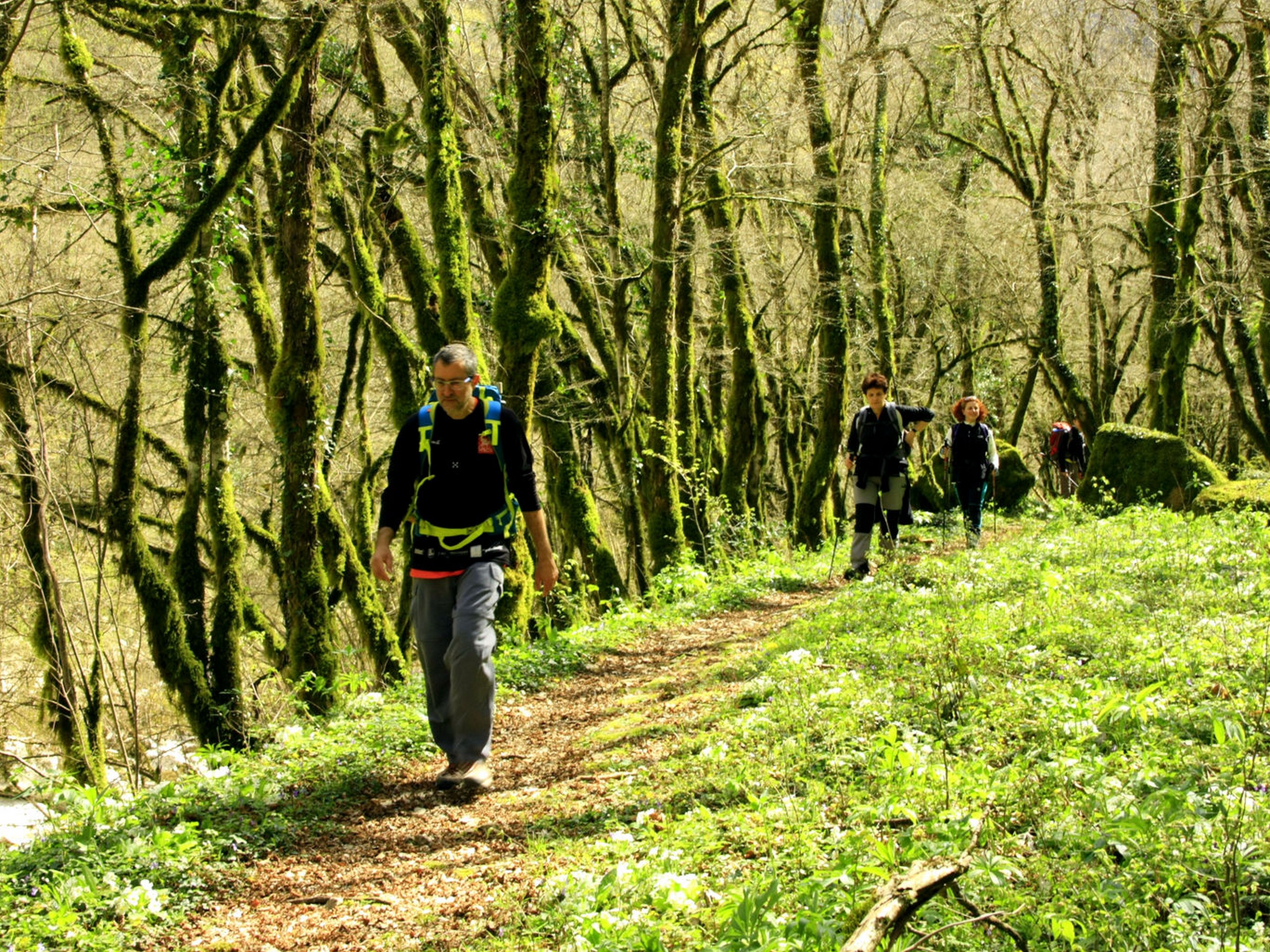 Hiking in Zagori region in greece
