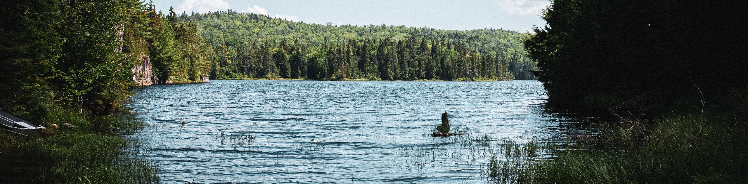 Bazin River Paddling Adventure