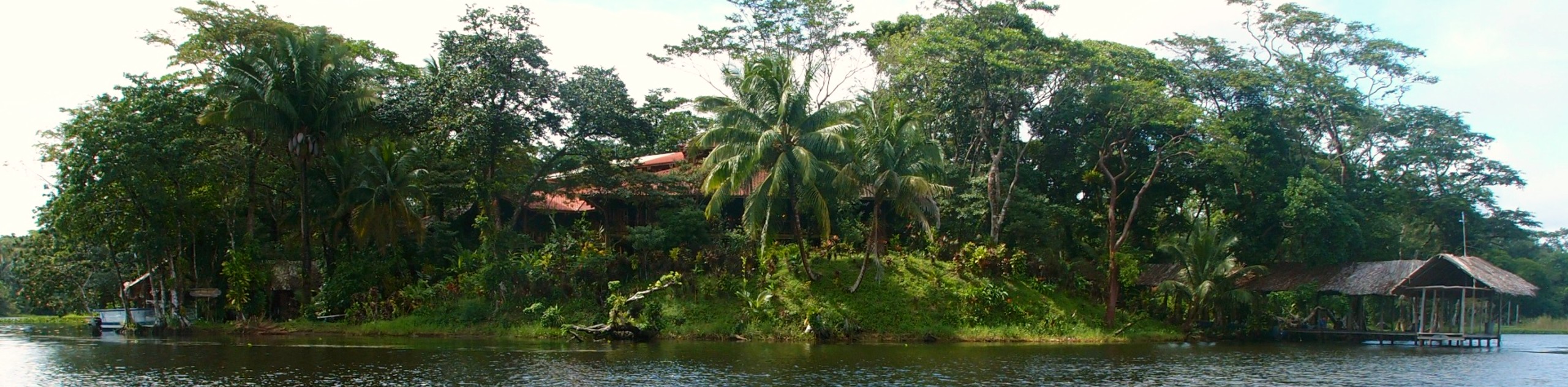 10-Day Nicaragua Birdwatching Expedition