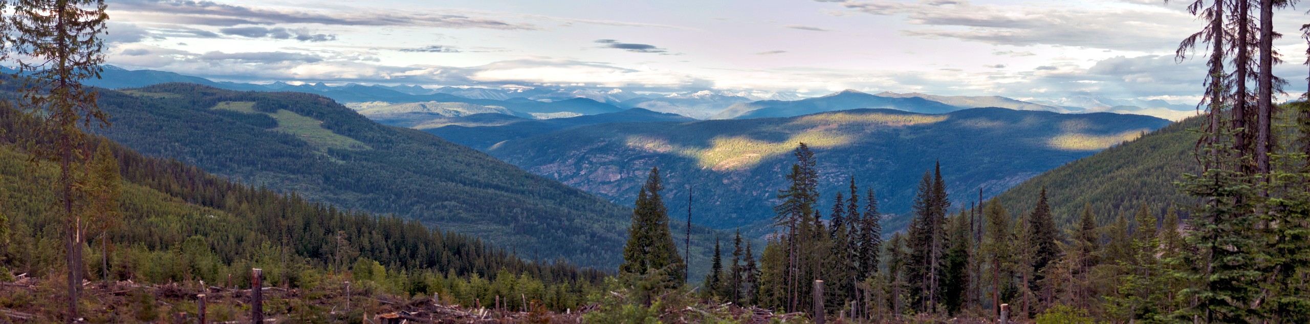 Columbia Valley Hiking Tour
