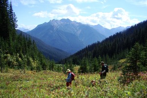 Columbia Valley Hiking Tour