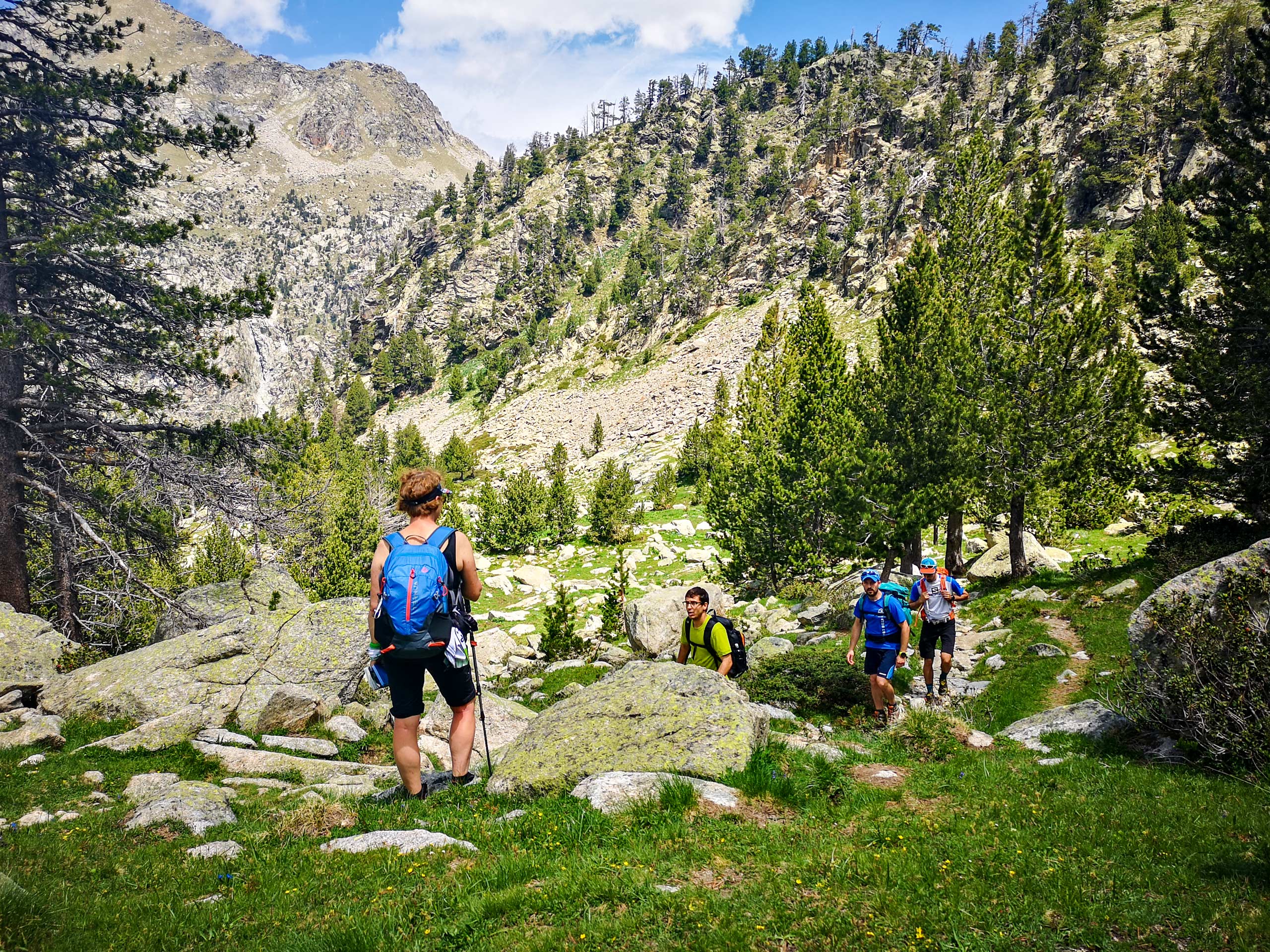 Hiking in mountains pinewood