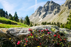 Vall de Boí and Aigüestortes Walking Tour