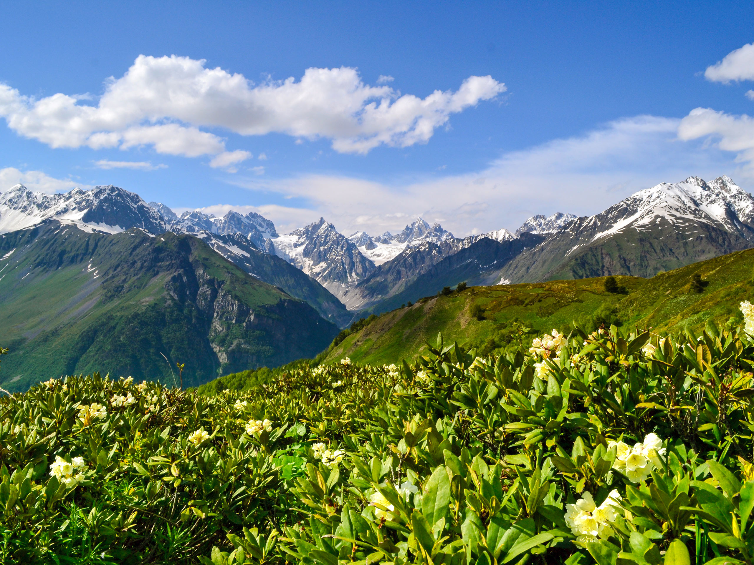 Amazing Svaneti landscapes