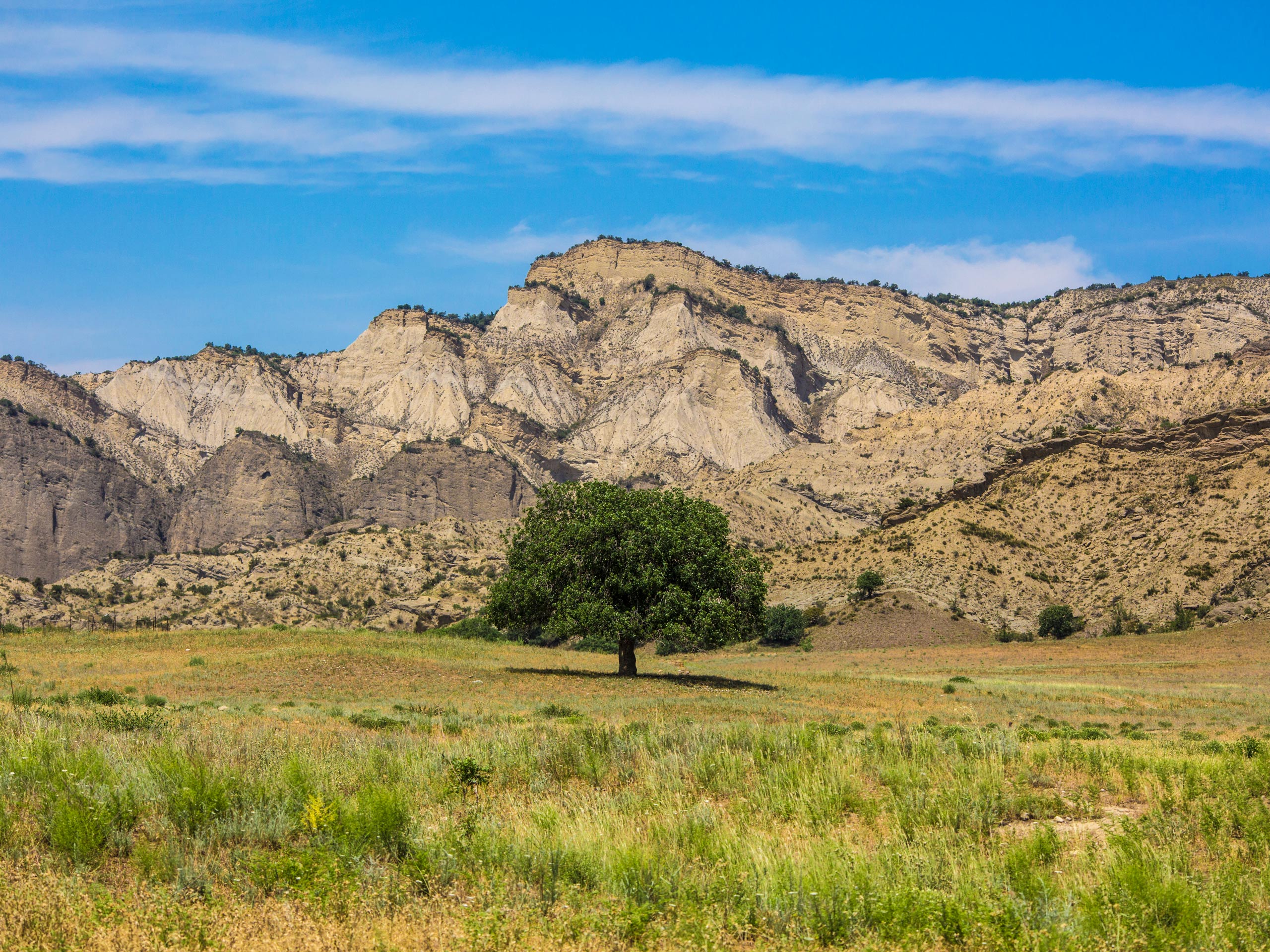 Vashlovani mountain view