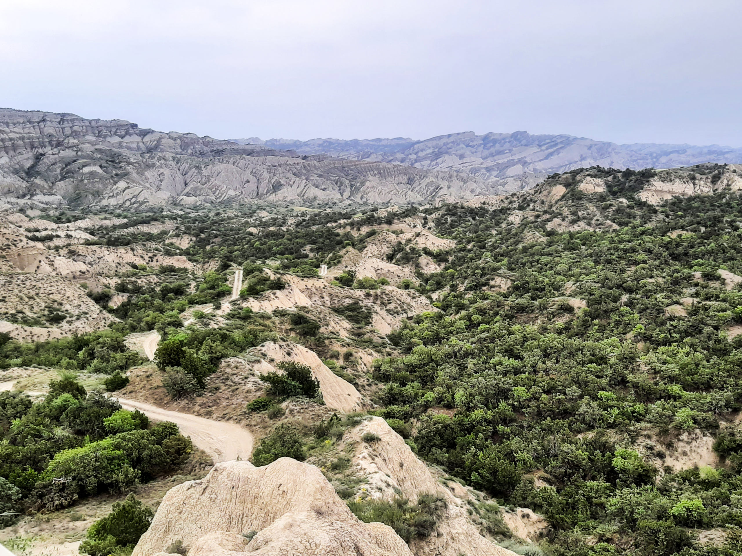 Vashlovani rocky valley