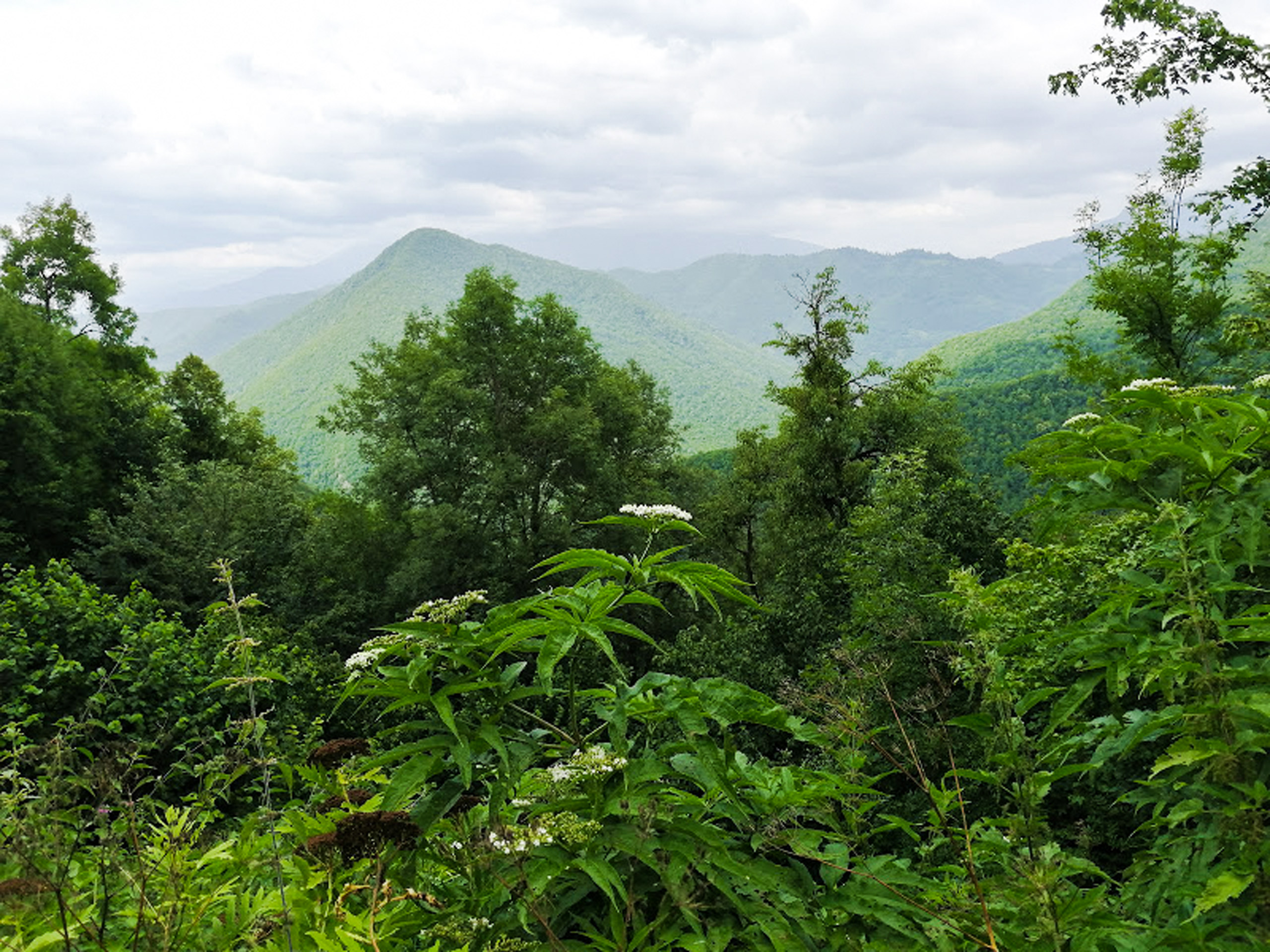 Mountains in Racha Region near Ambrolauri