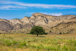 Vashlovani National Park Adventure Tour