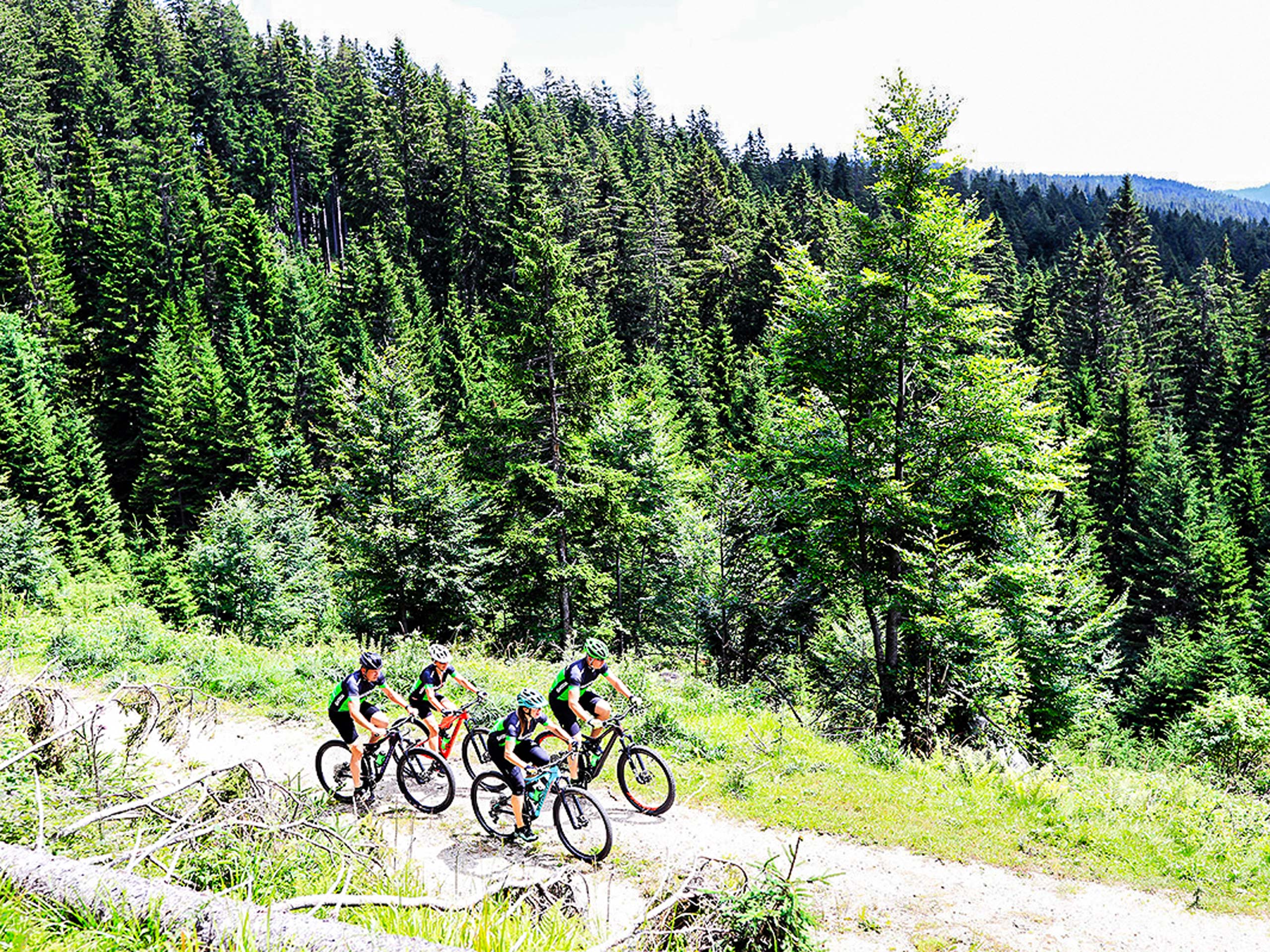 Biking on the forest trail