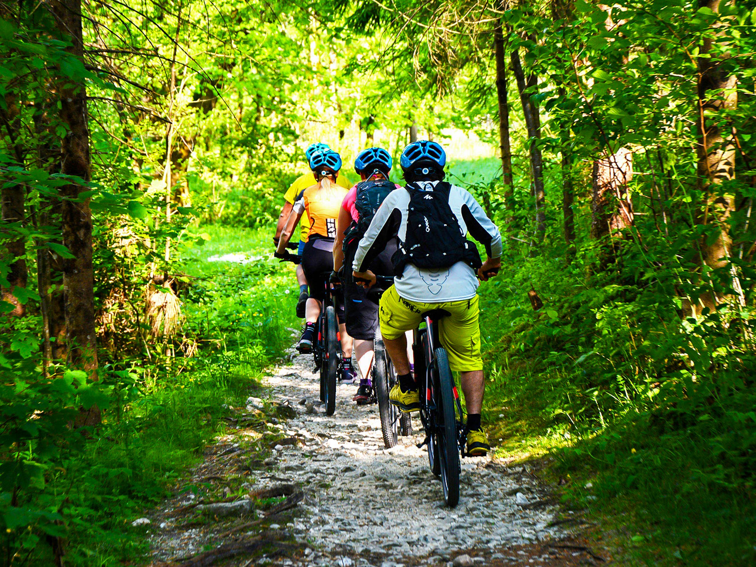 Cycling in the forest