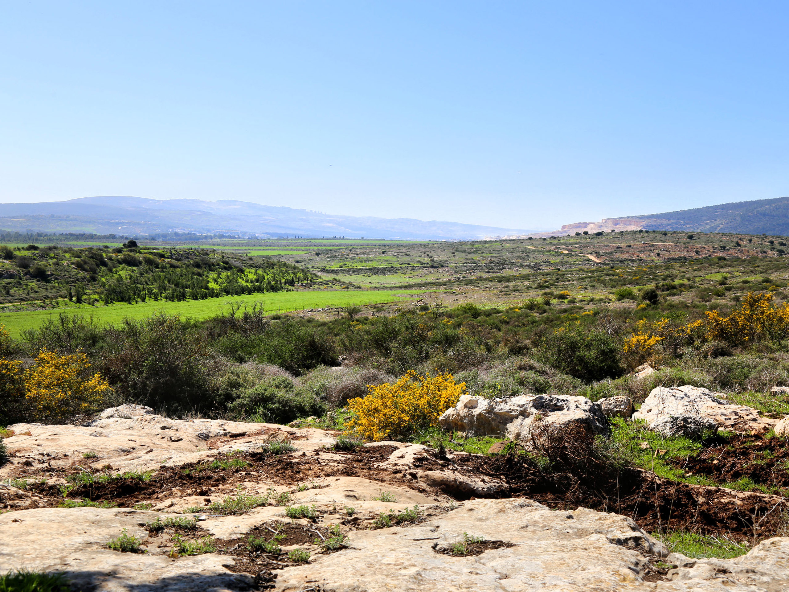 Beautiful Israel Landscape