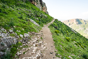 Hiking the Jesus Trail Tour