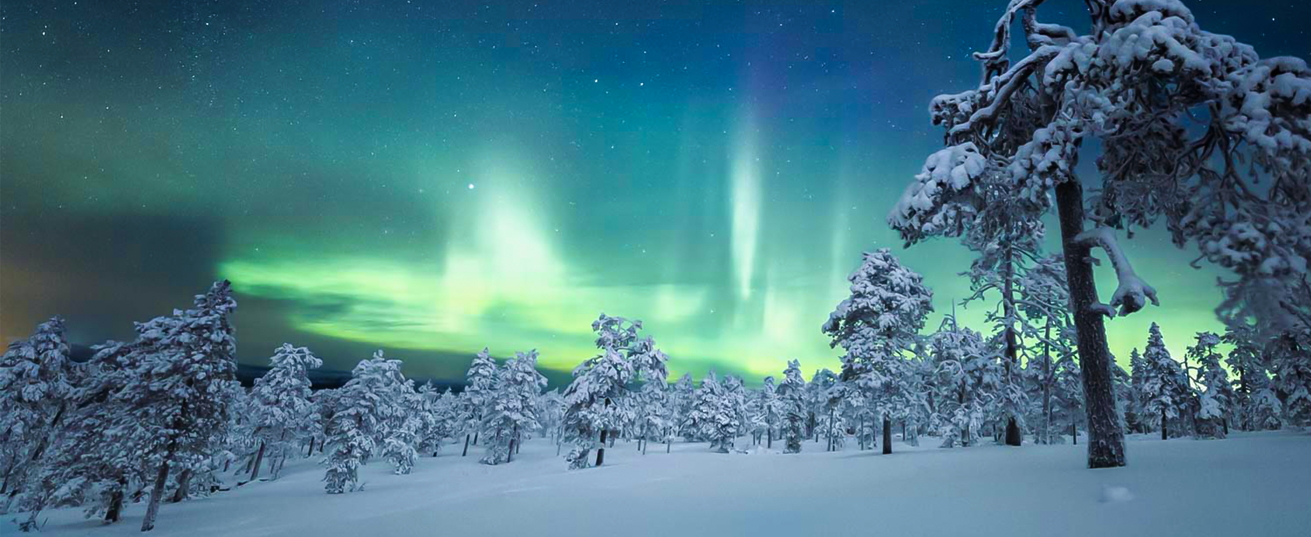 Yukon Ultimate Northern Lights Tour