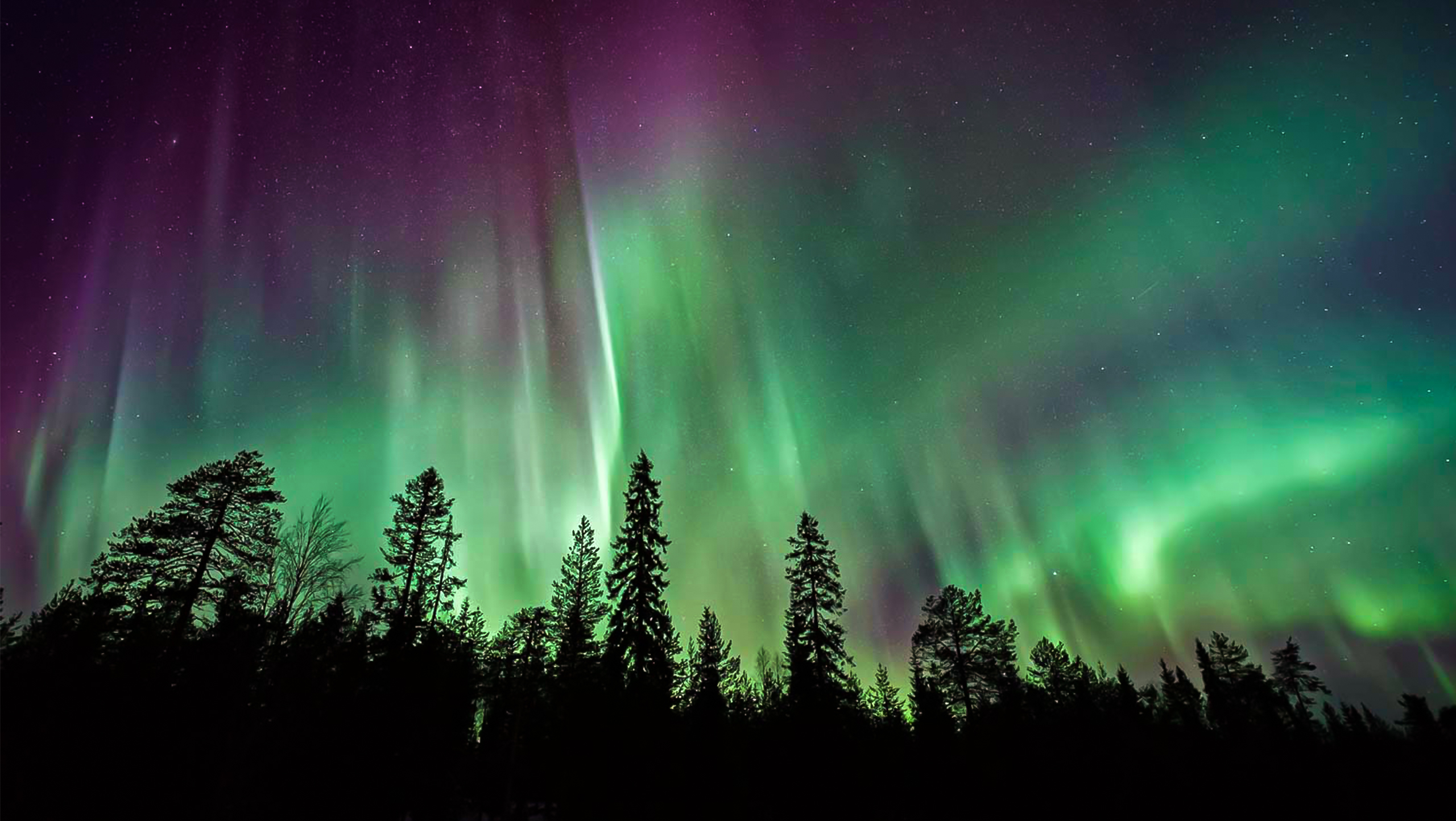 Northern Lights In October 2024 Mari Orelle