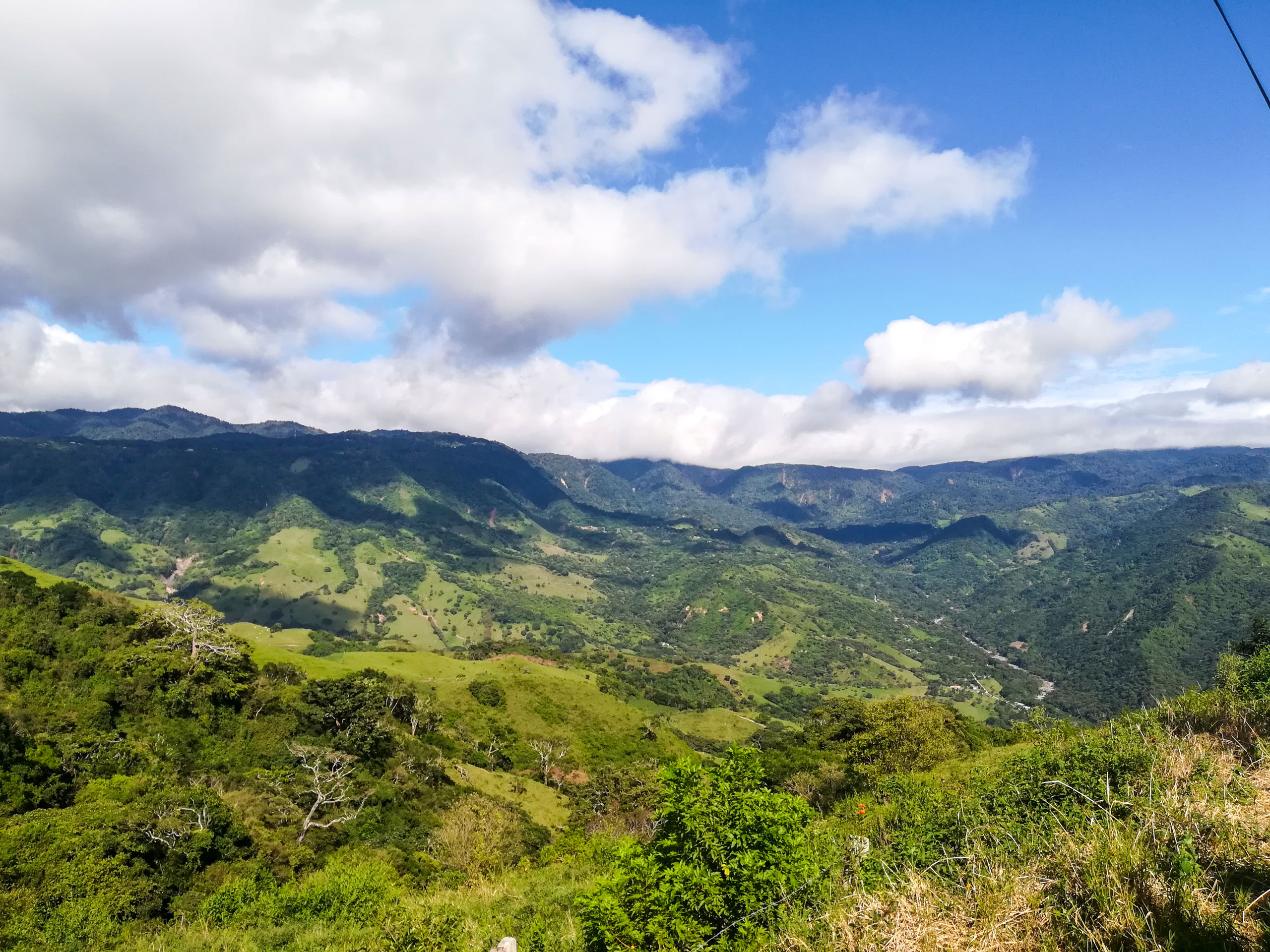 Amazing Monteverde landscape