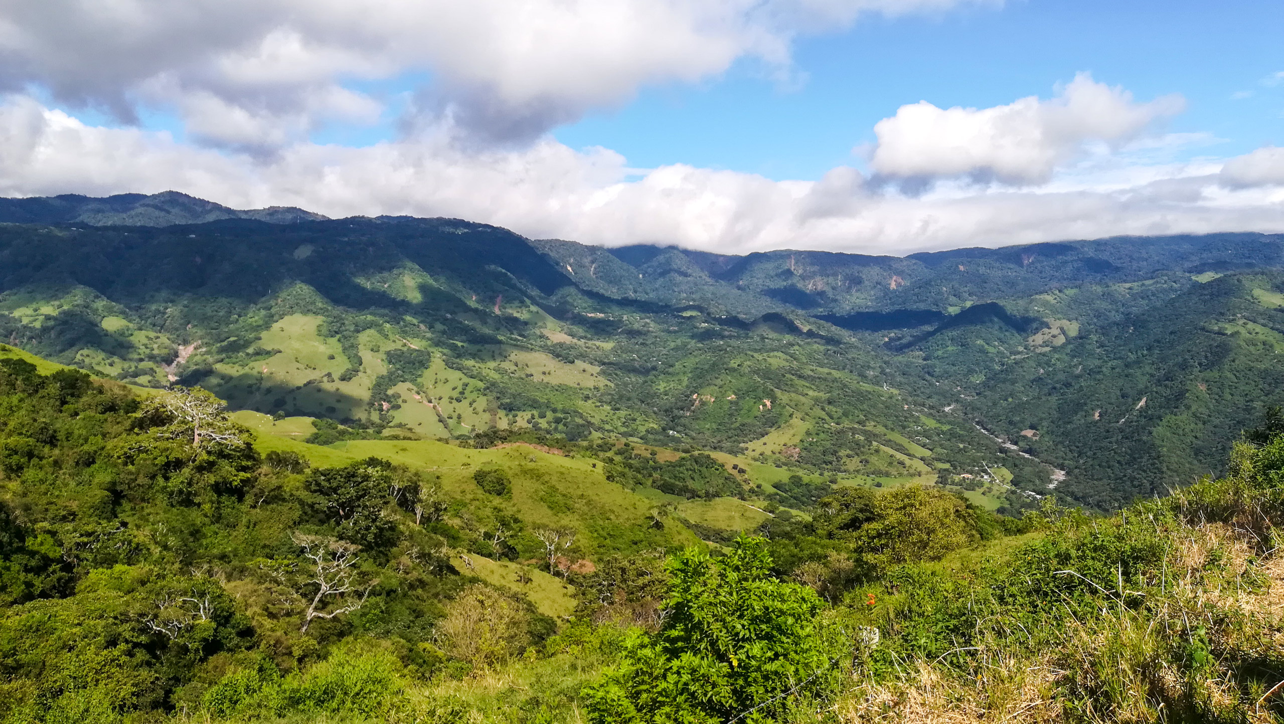Rainforests of Costa Rica