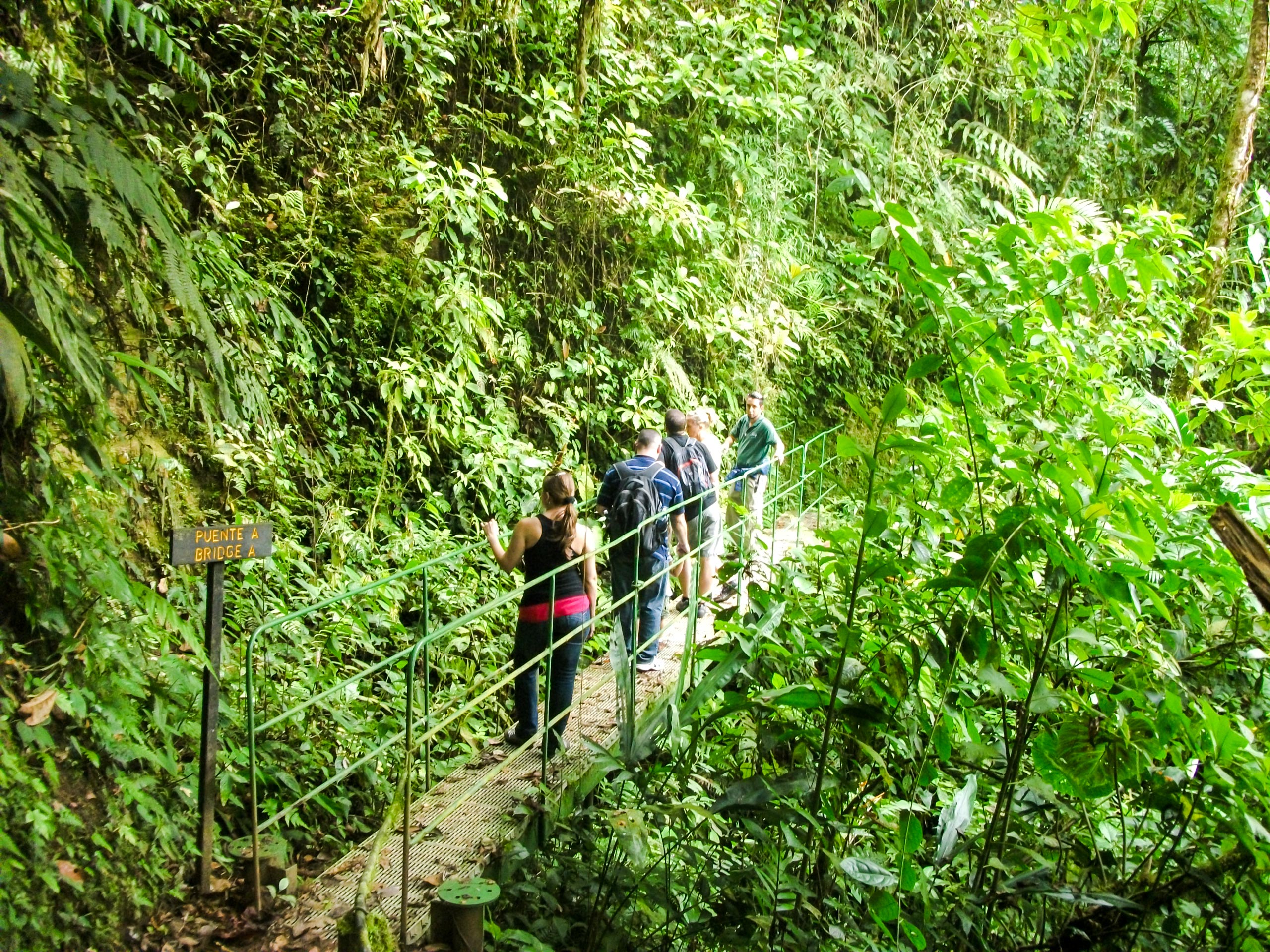 Raiforest journey in Costa Rica