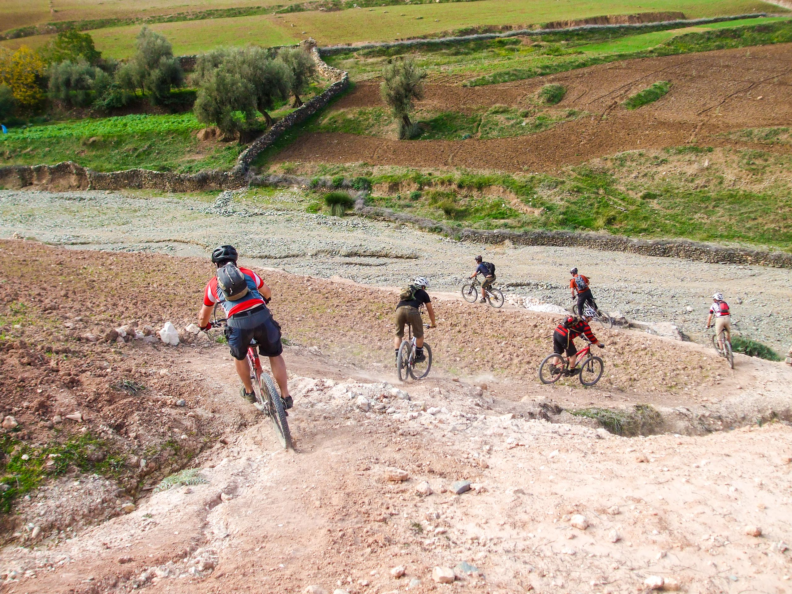 Mountain biking tour