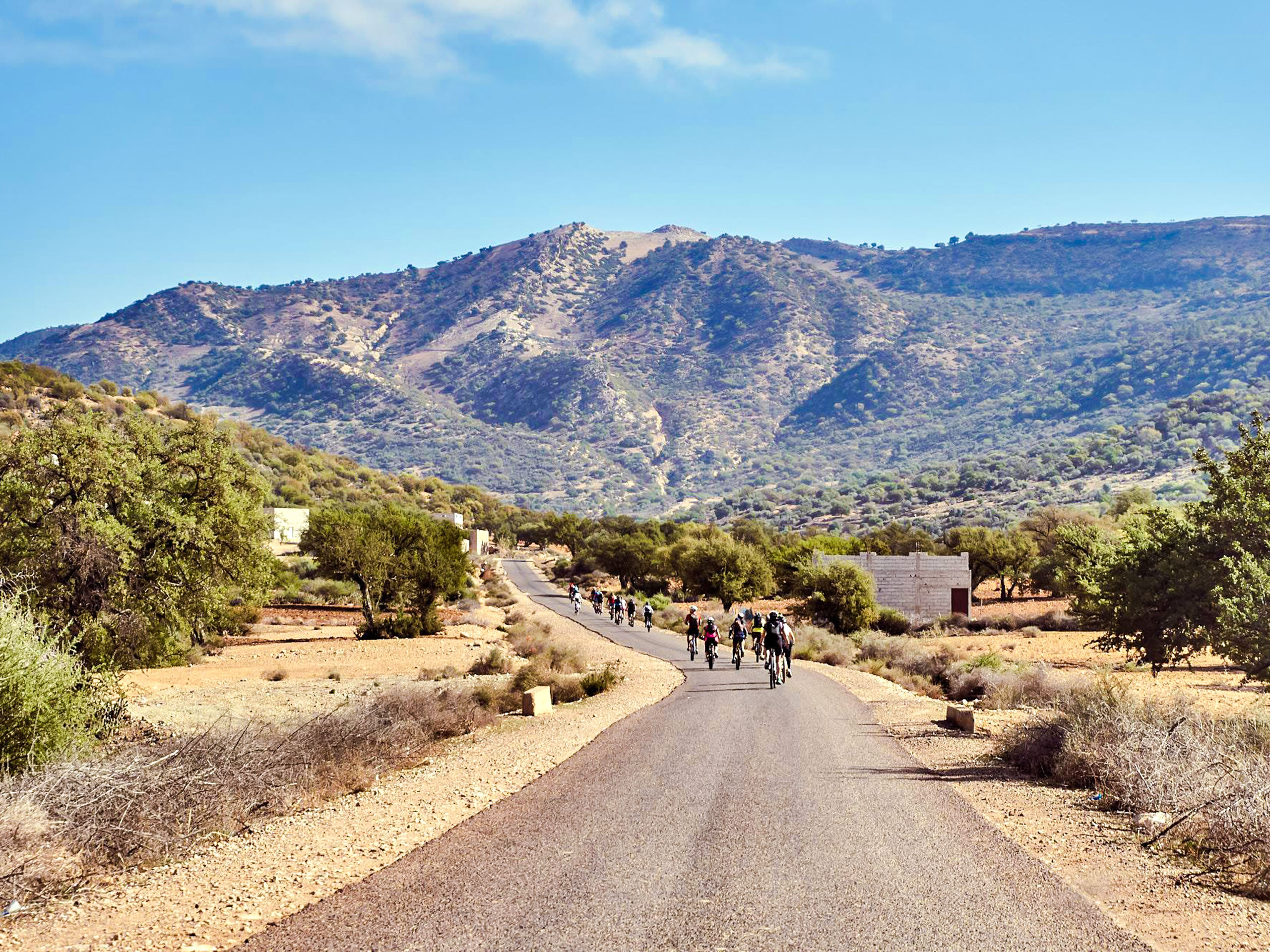 Sahara cycling view