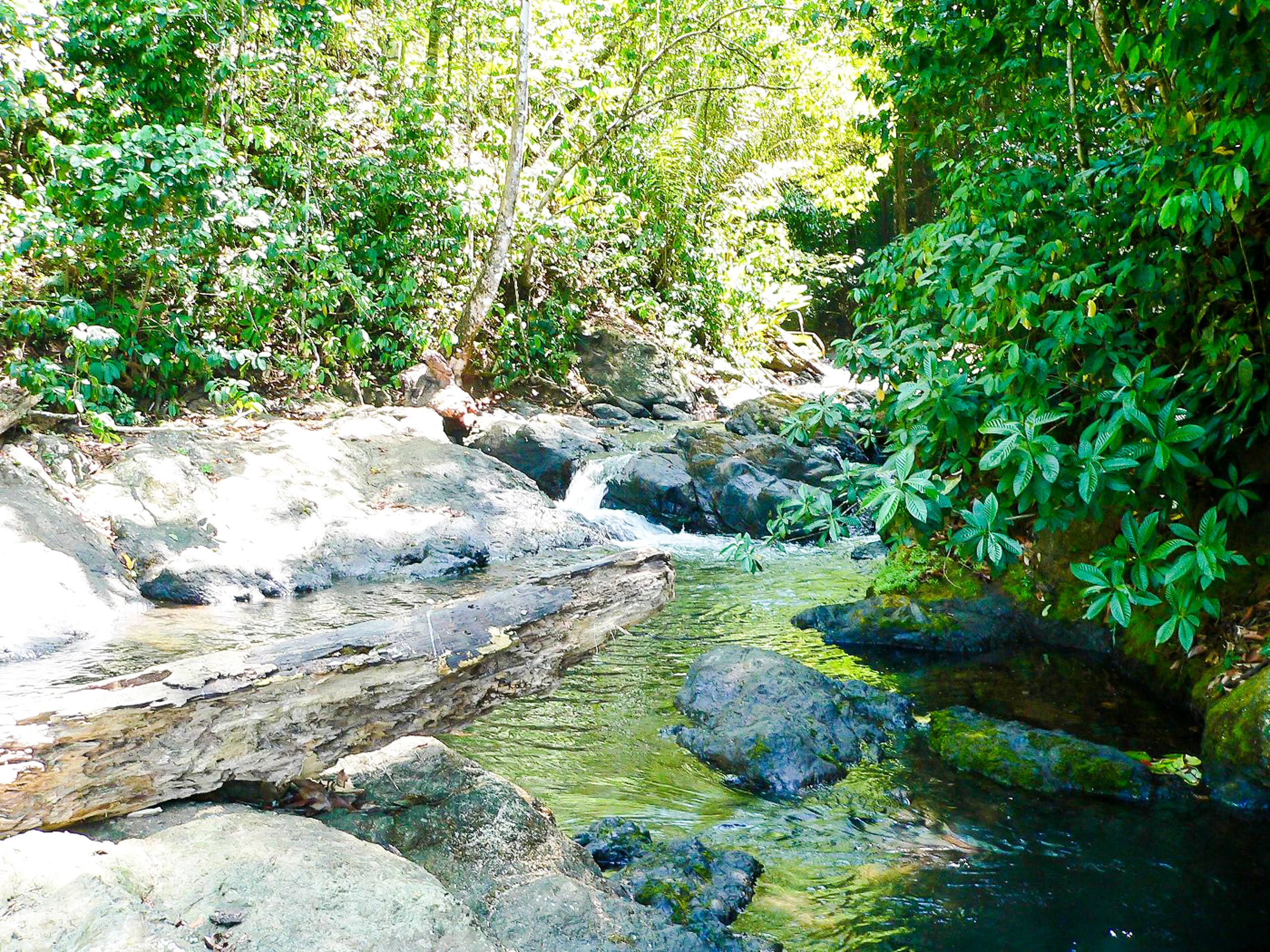 Rocky tropical river on the Corcovado National Park