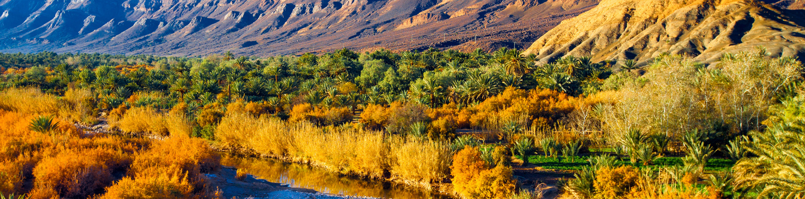 Mountain Bike Tour in the Atlas Mountains