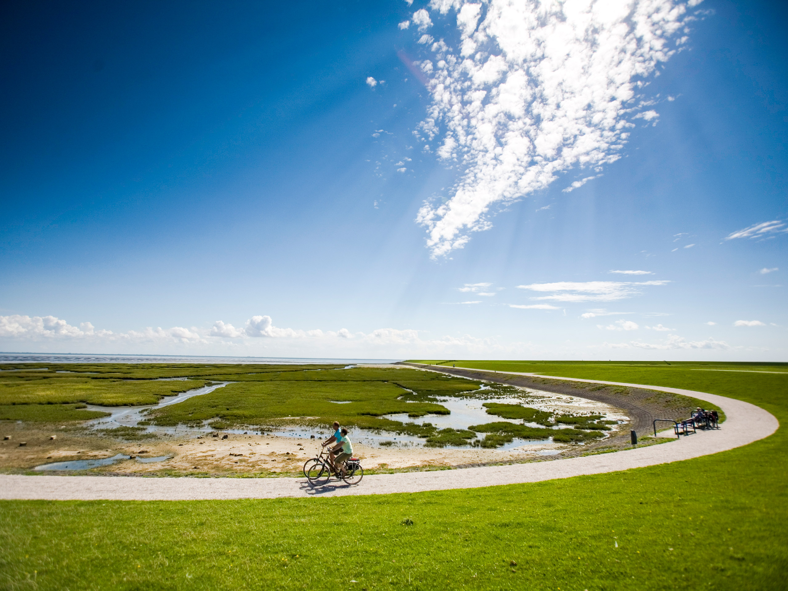 Bicycle road in Friesland