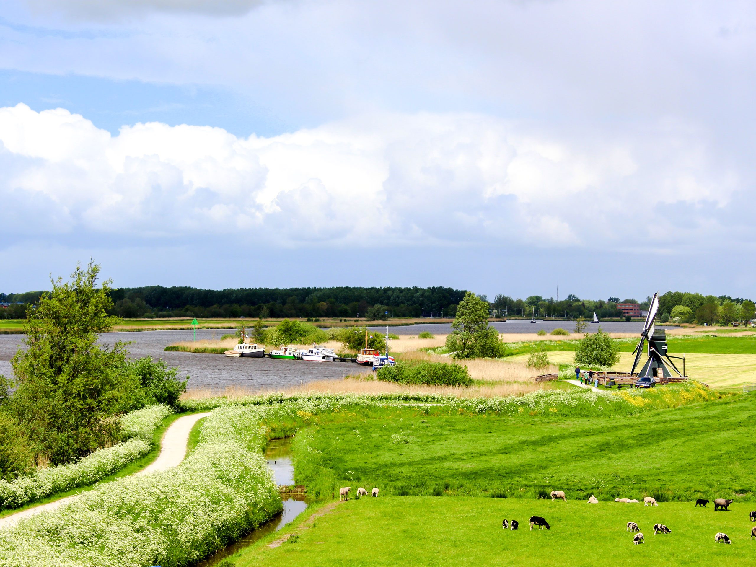 Beautiful Friesland landscape