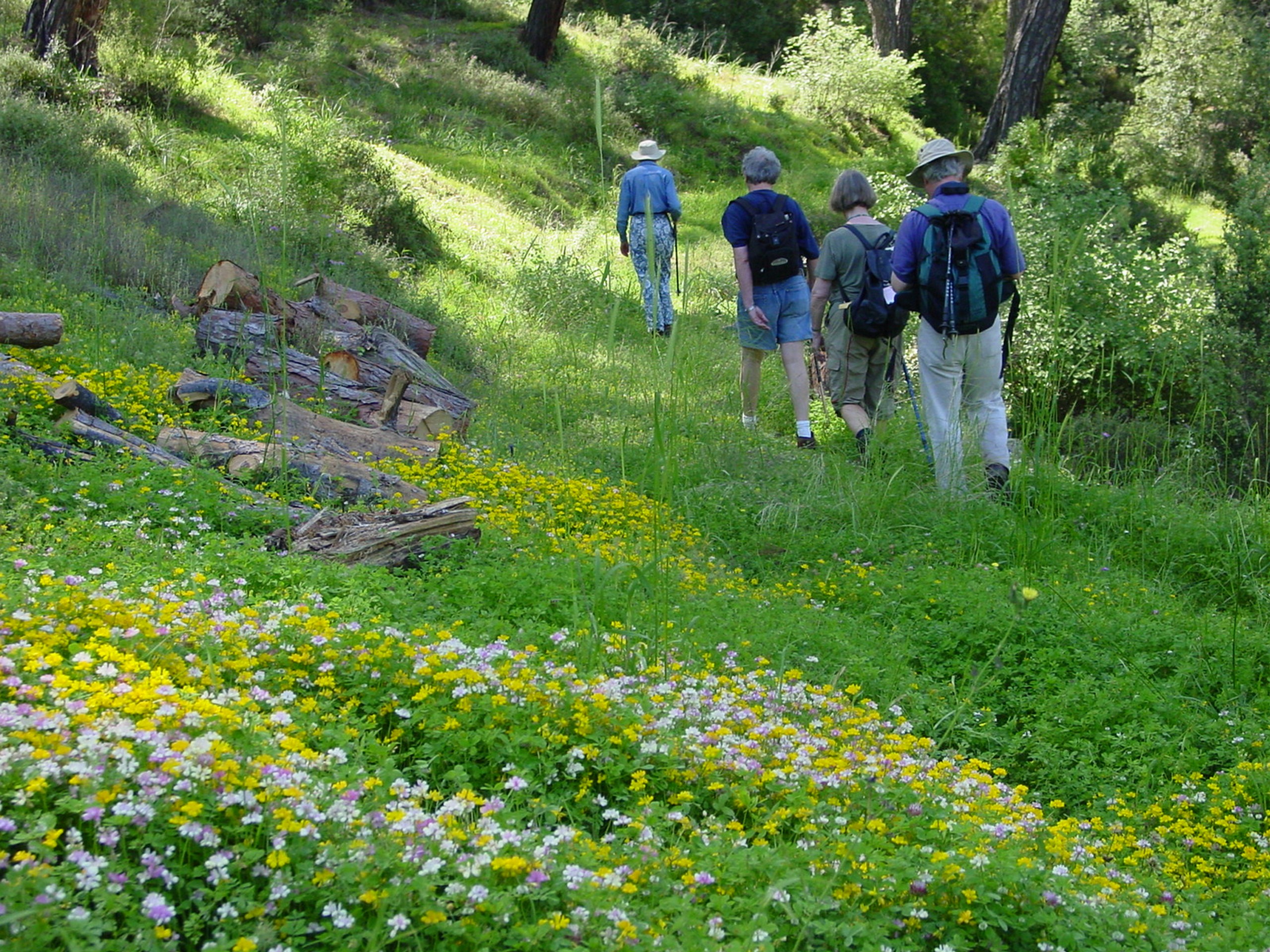 Hikers walking in the Lycian mountains
