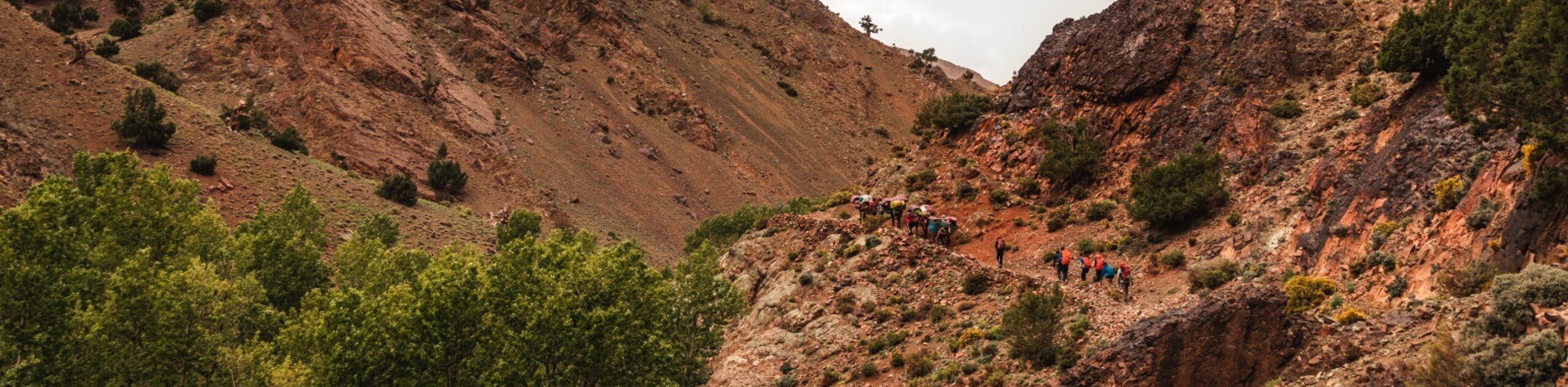 Summit and Canyons of M’Goun